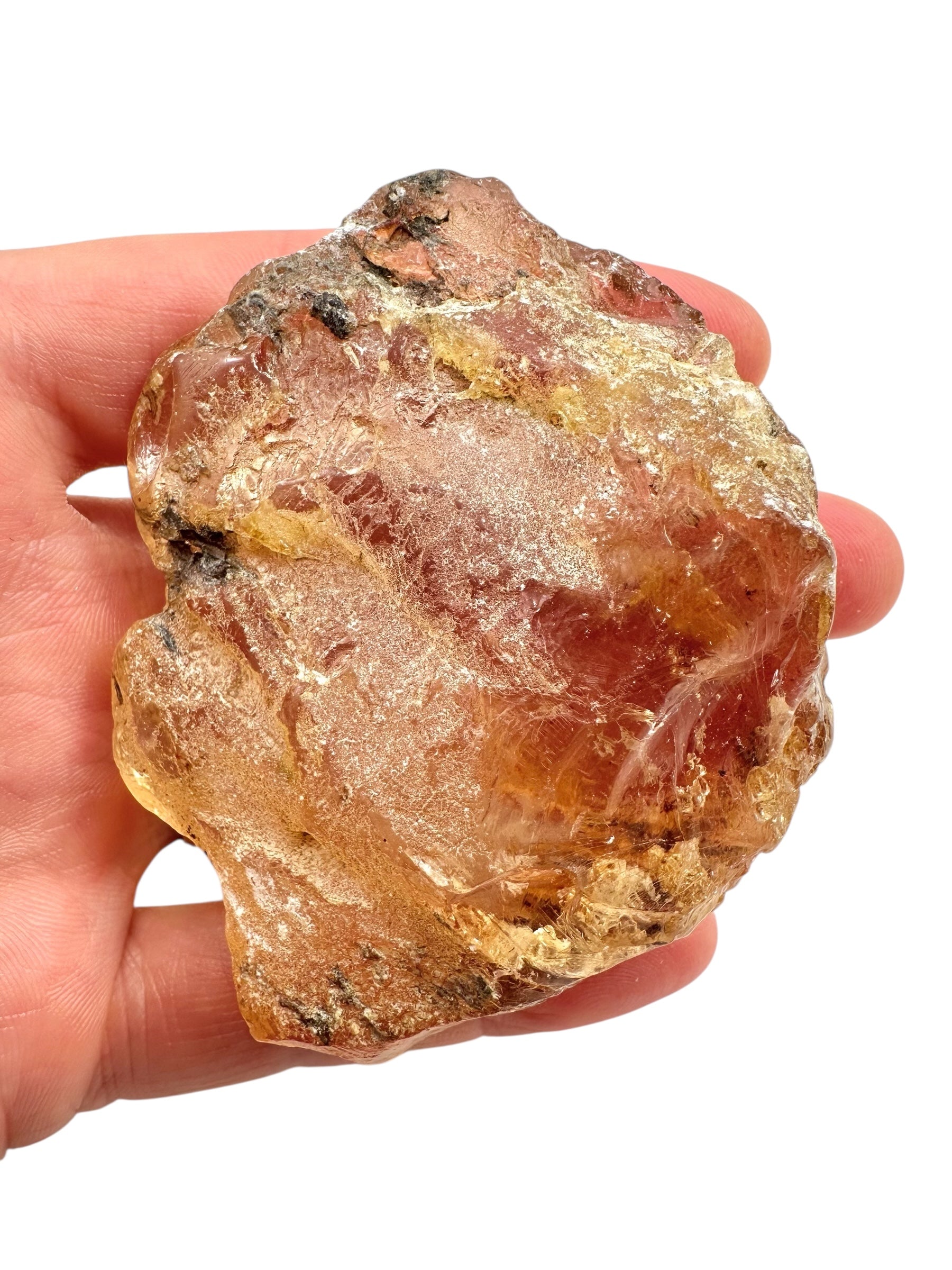 Young Amber (Copal) – Colombia - JN286