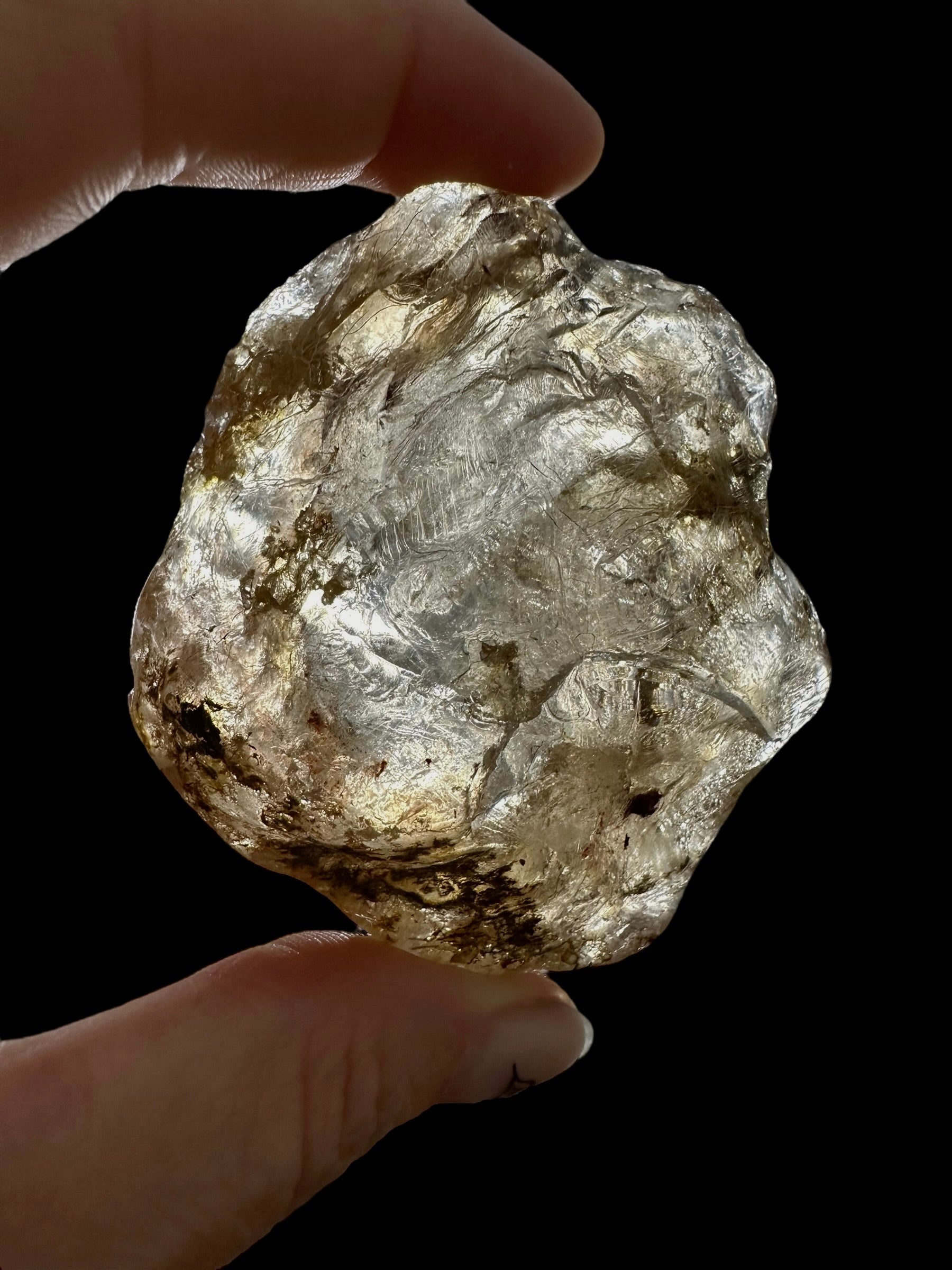 Young Amber (Copal) – Colombia - JN286