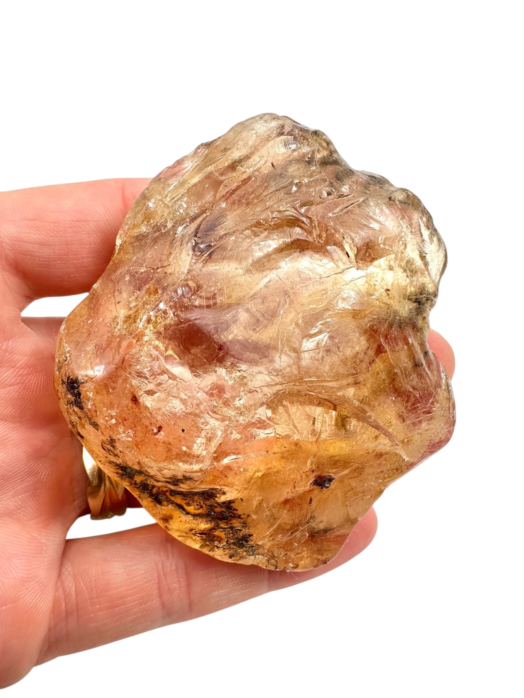 Young Amber (Copal) – Colombia