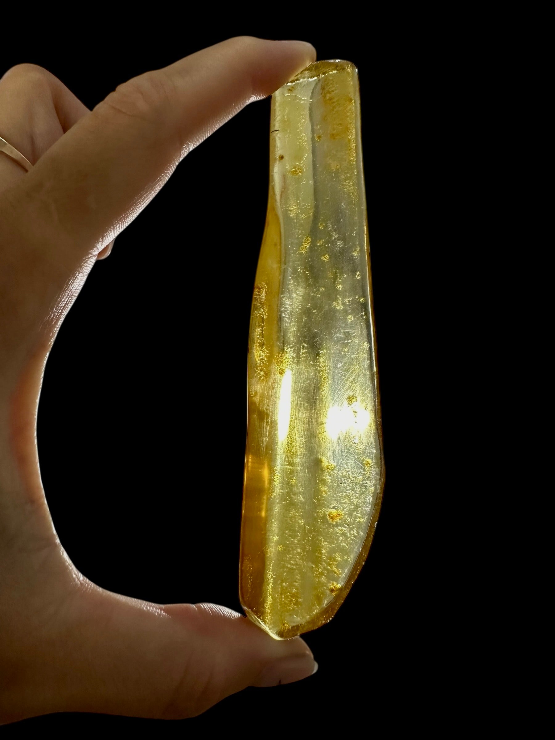 Young Amber (Copal) – Colombia - JN287