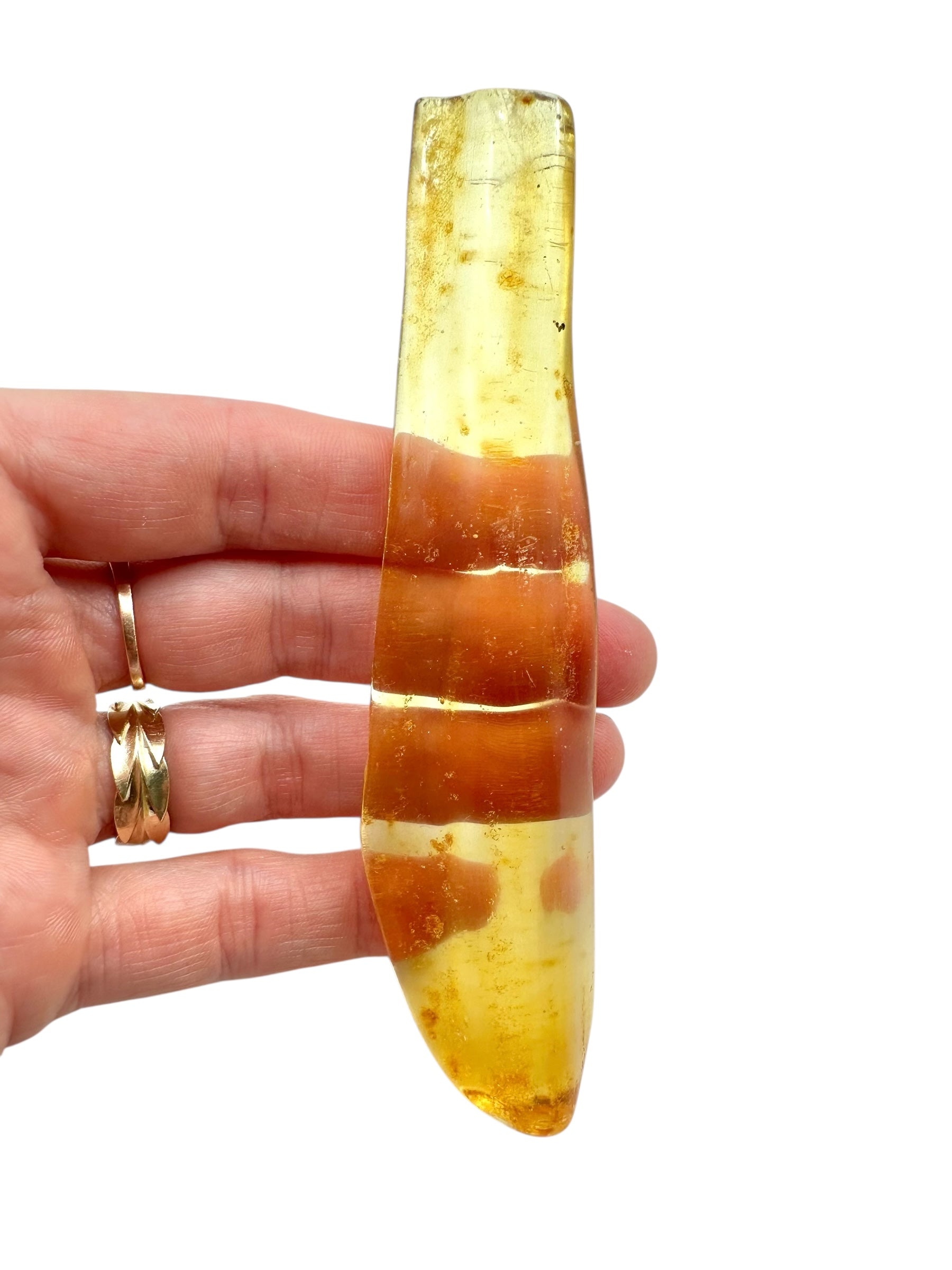 Young Amber (Copal) – Colombia