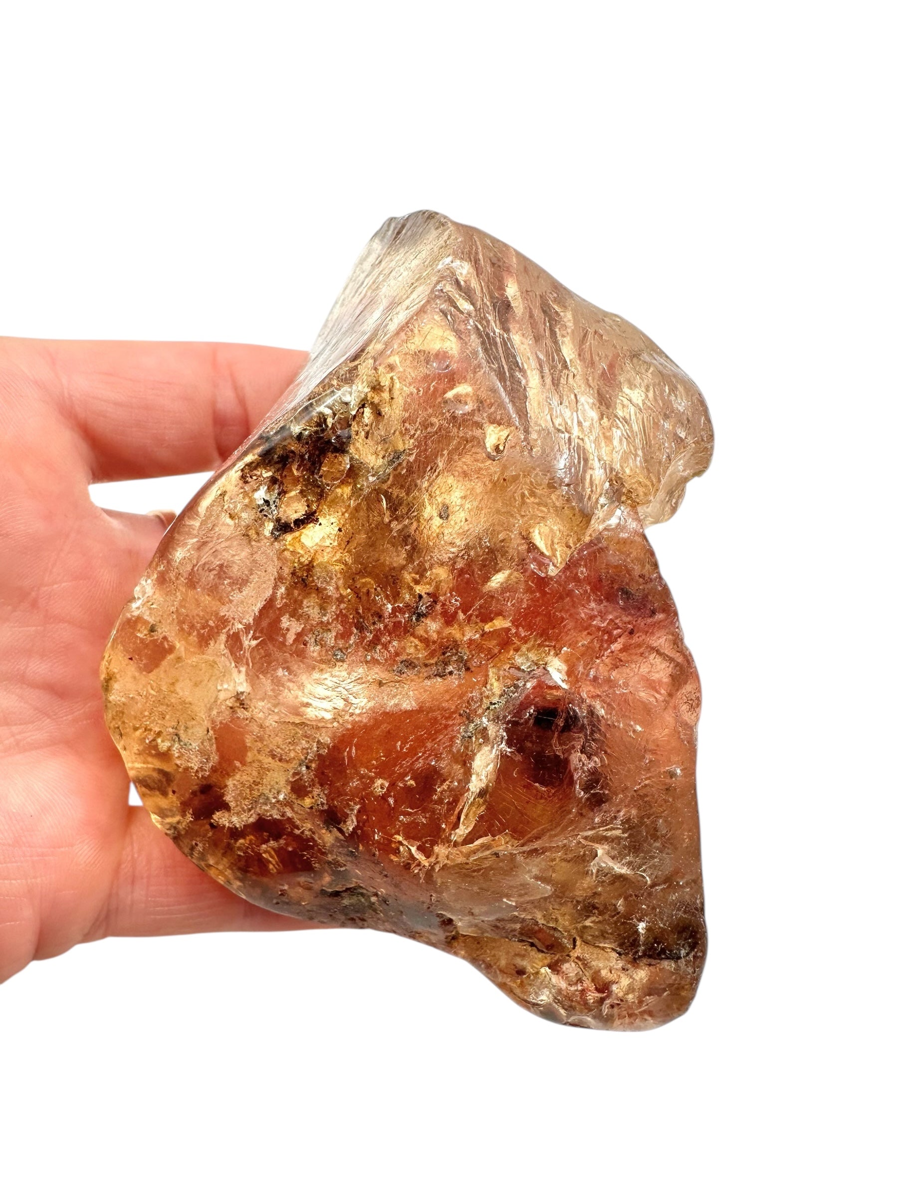 Young Amber (Copal) – Colombia - JN288