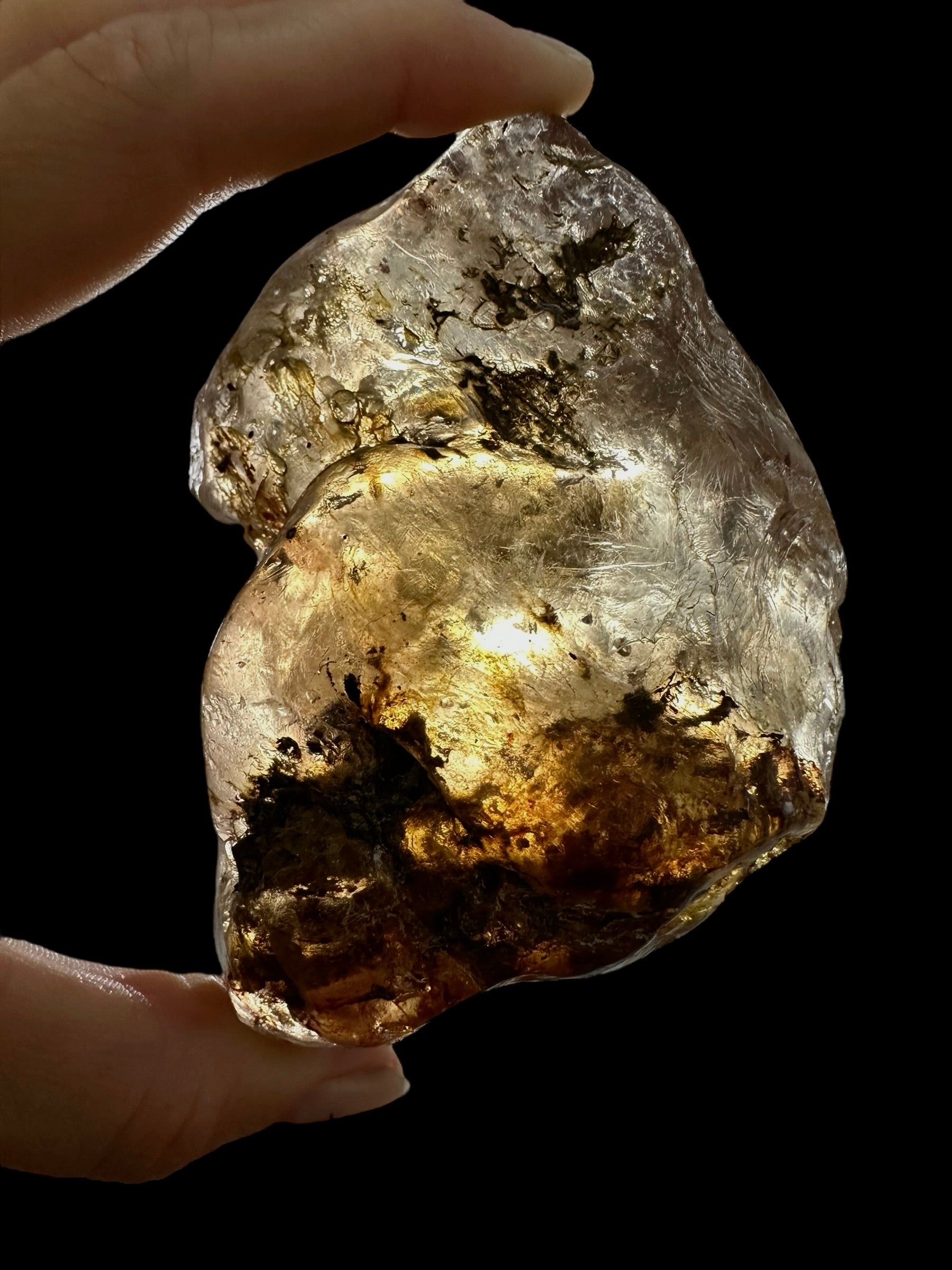 Young Amber (Copal) – Colombia - JN288