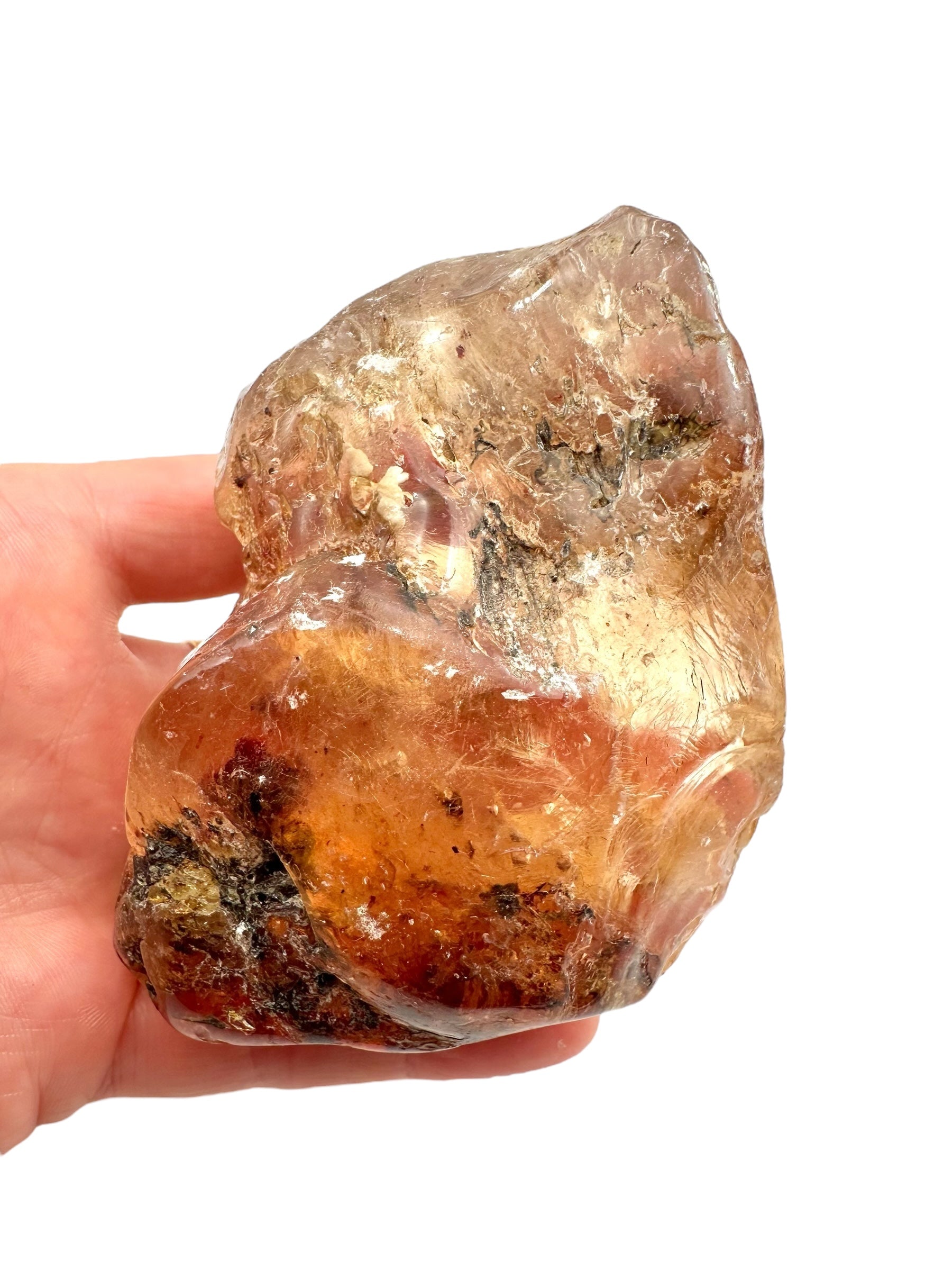 Young Amber (Copal) – Colombia
