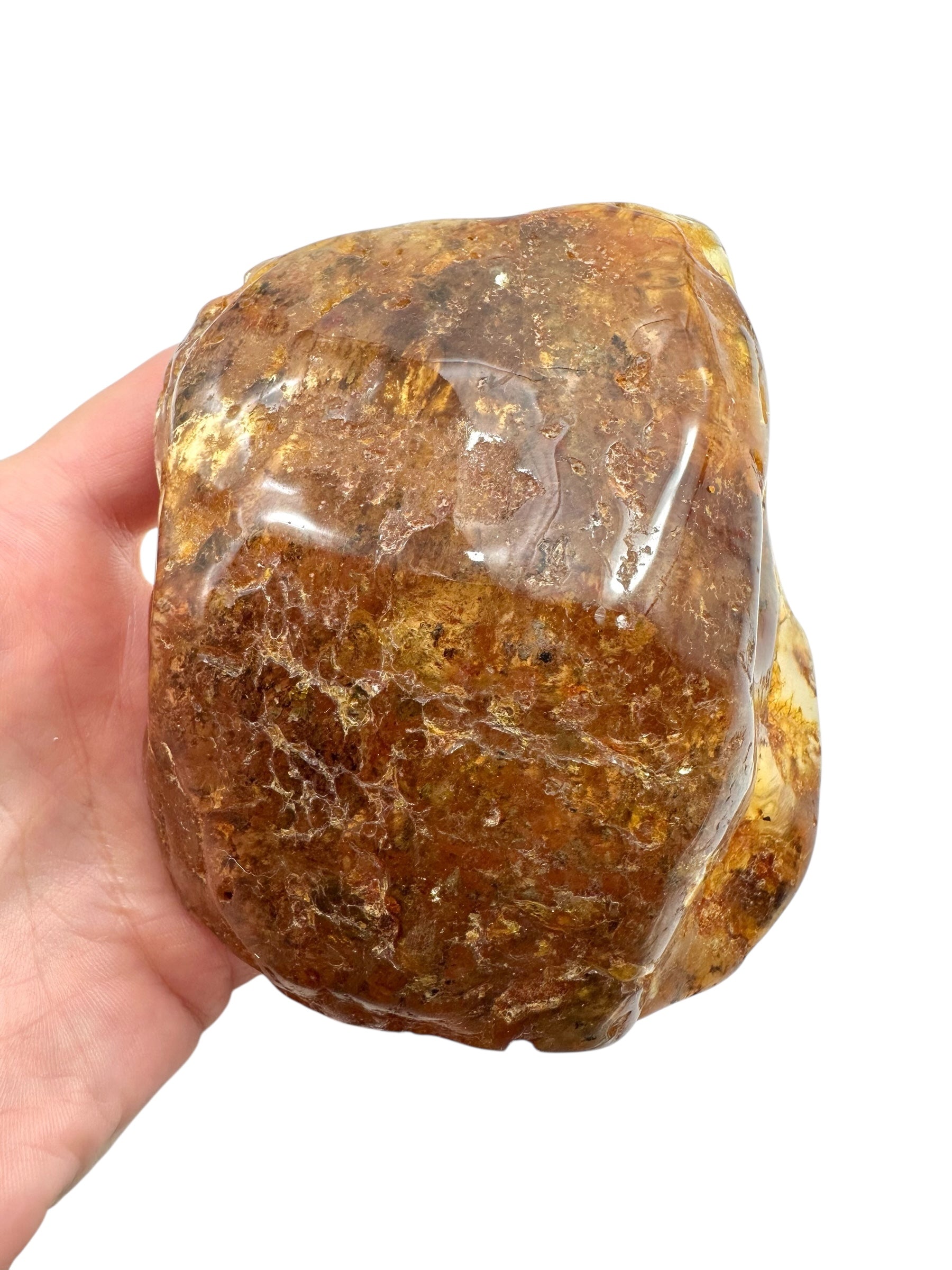 Young Amber (Copal) – Colombia - JN289