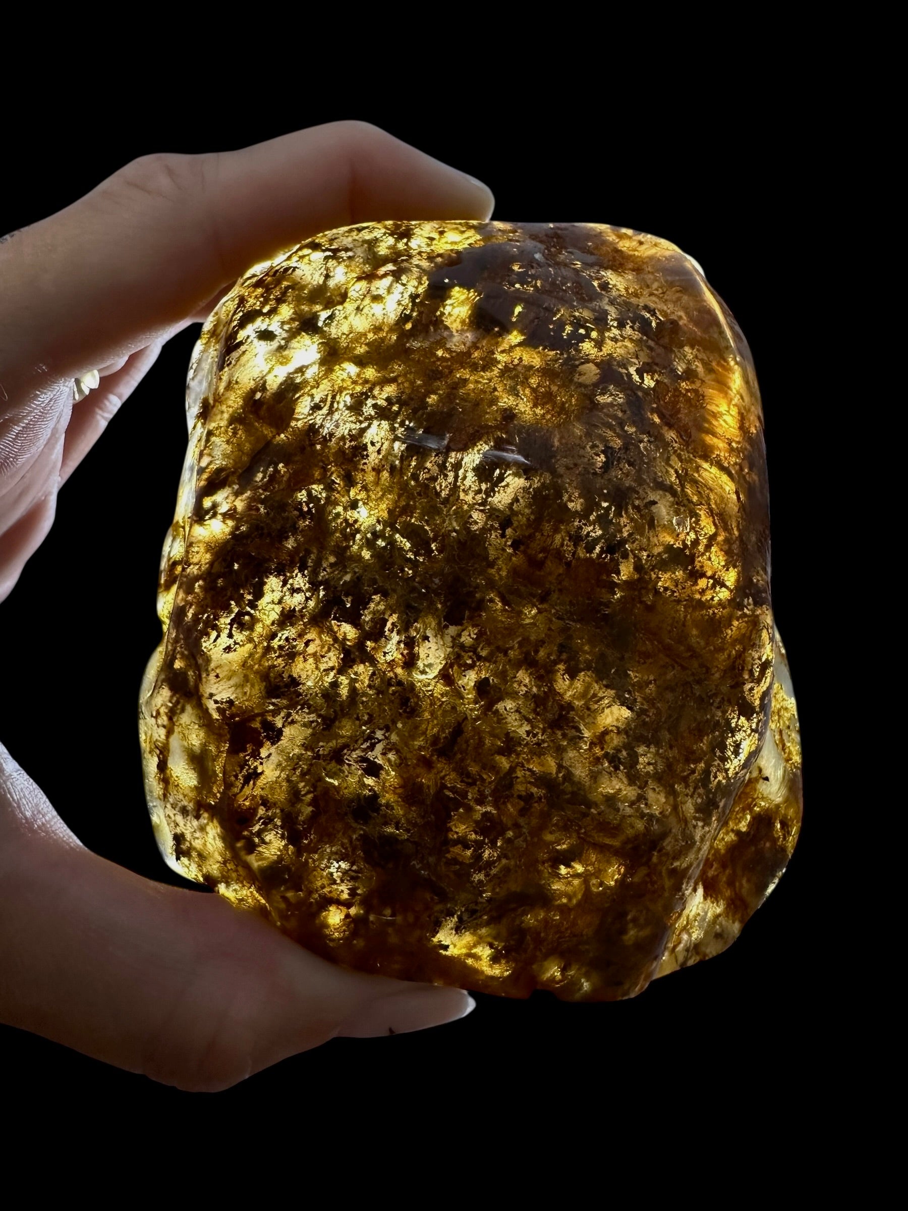 Young Amber (Copal) – Colombia - JN289