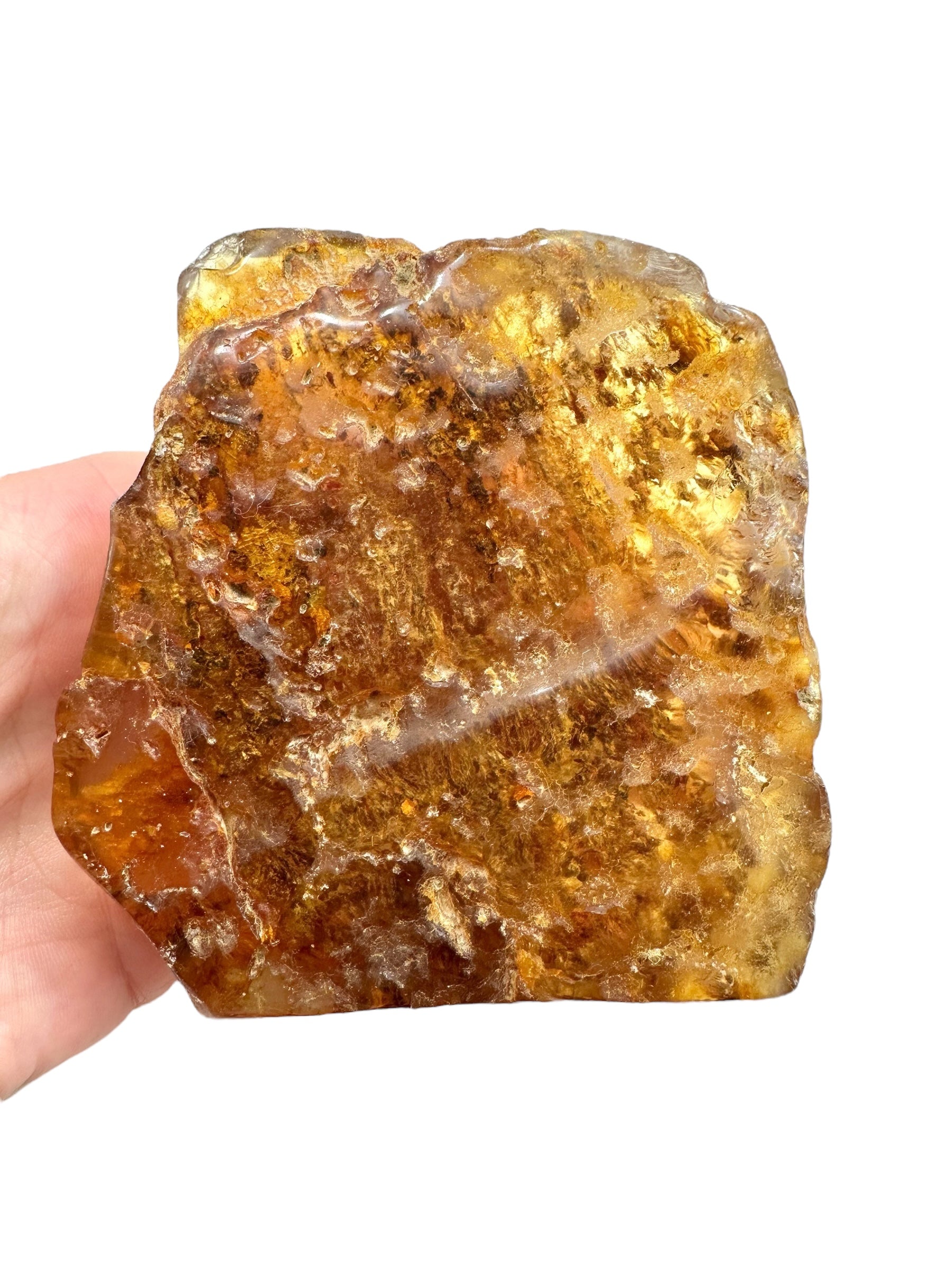 Young Amber (Copal) – Colombia