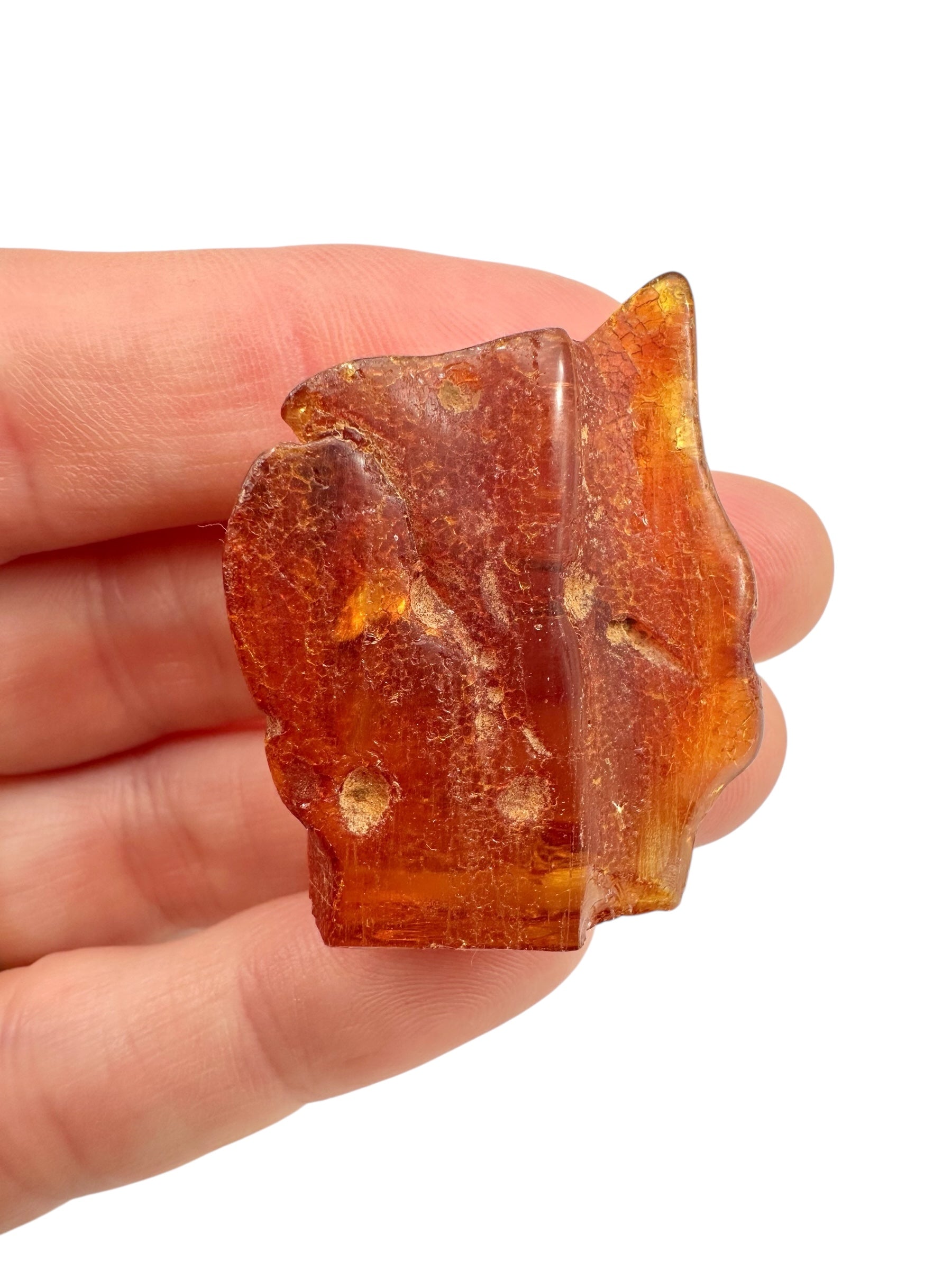 Young Amber (Copal) – Colombia - JN291