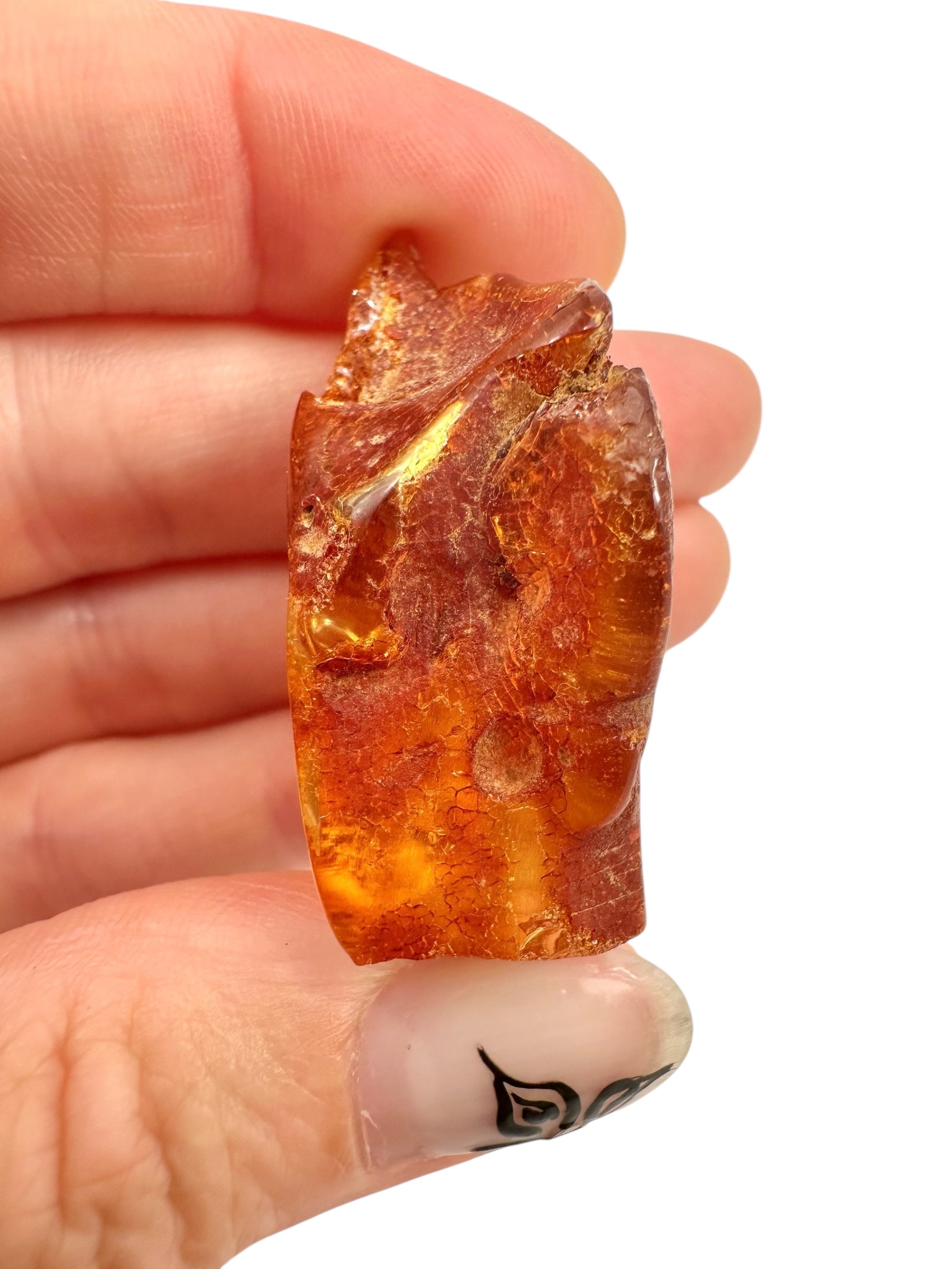 Young Amber (Copal) – Colombia - JN291