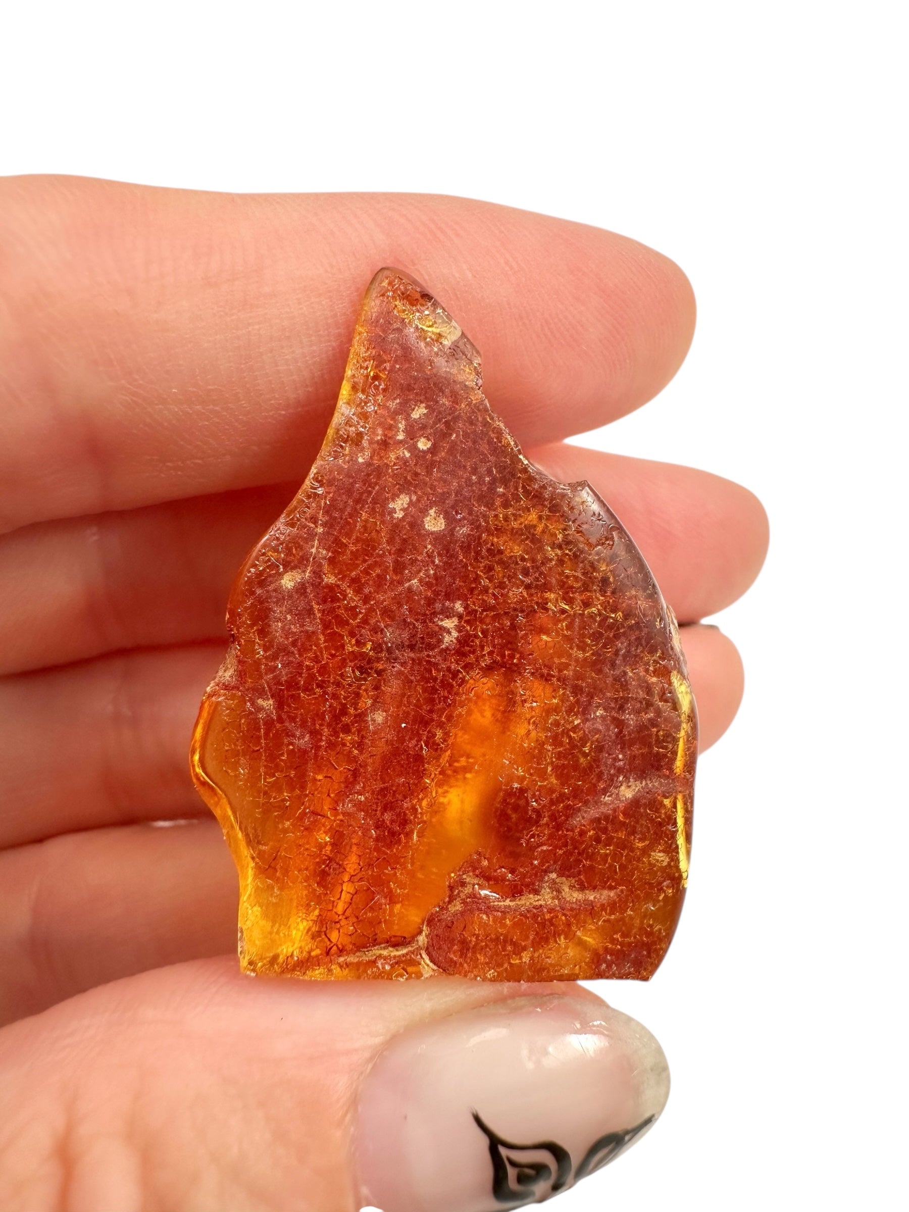 Young Amber (Copal) – Colombia