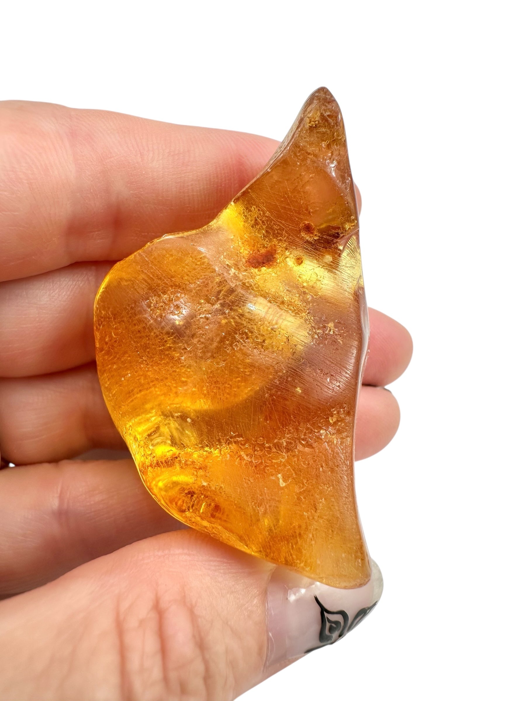 Young Amber (Copal) – Colombia - JN292