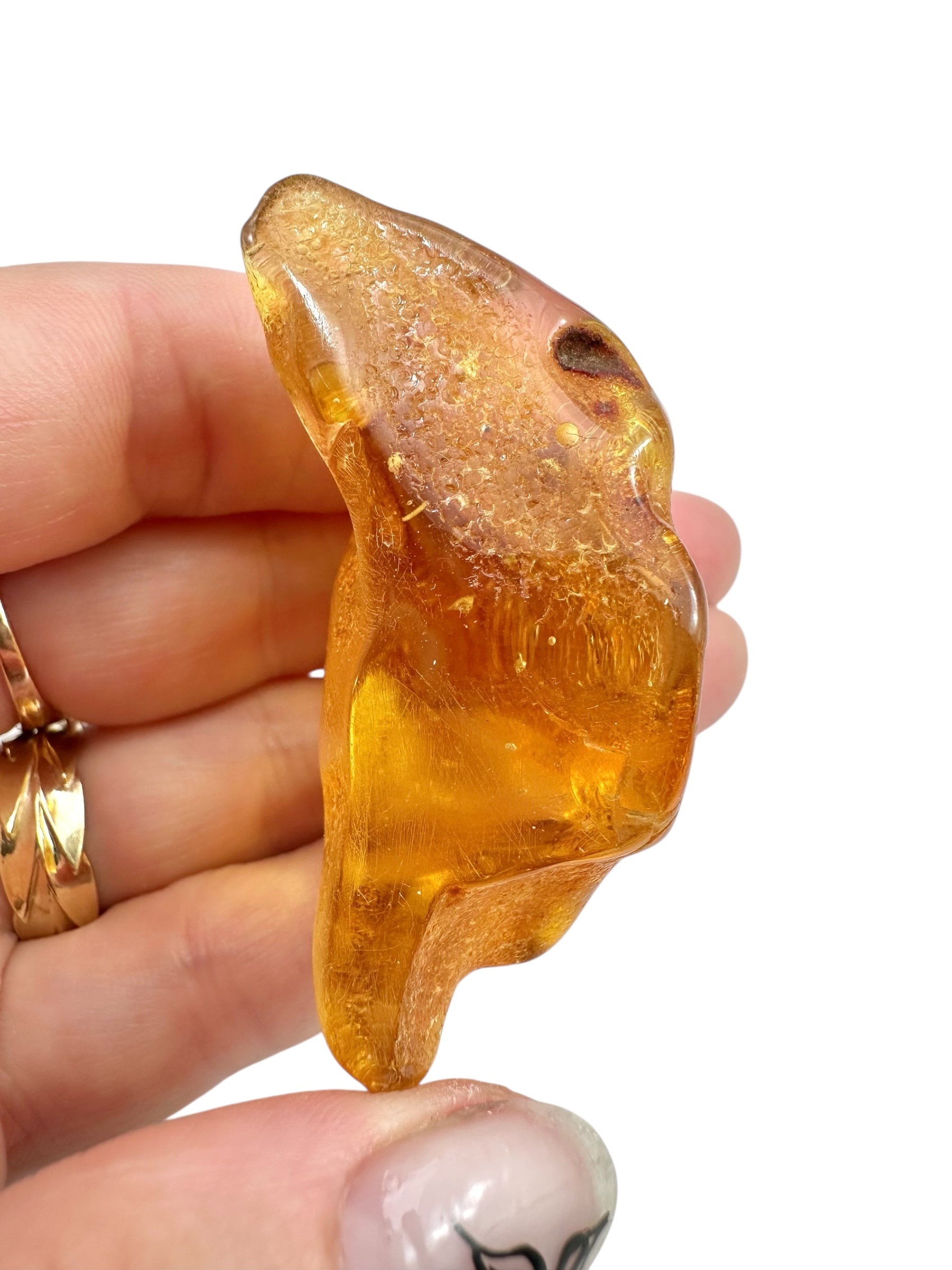 Young Amber (Copal) – Colombia - JN292