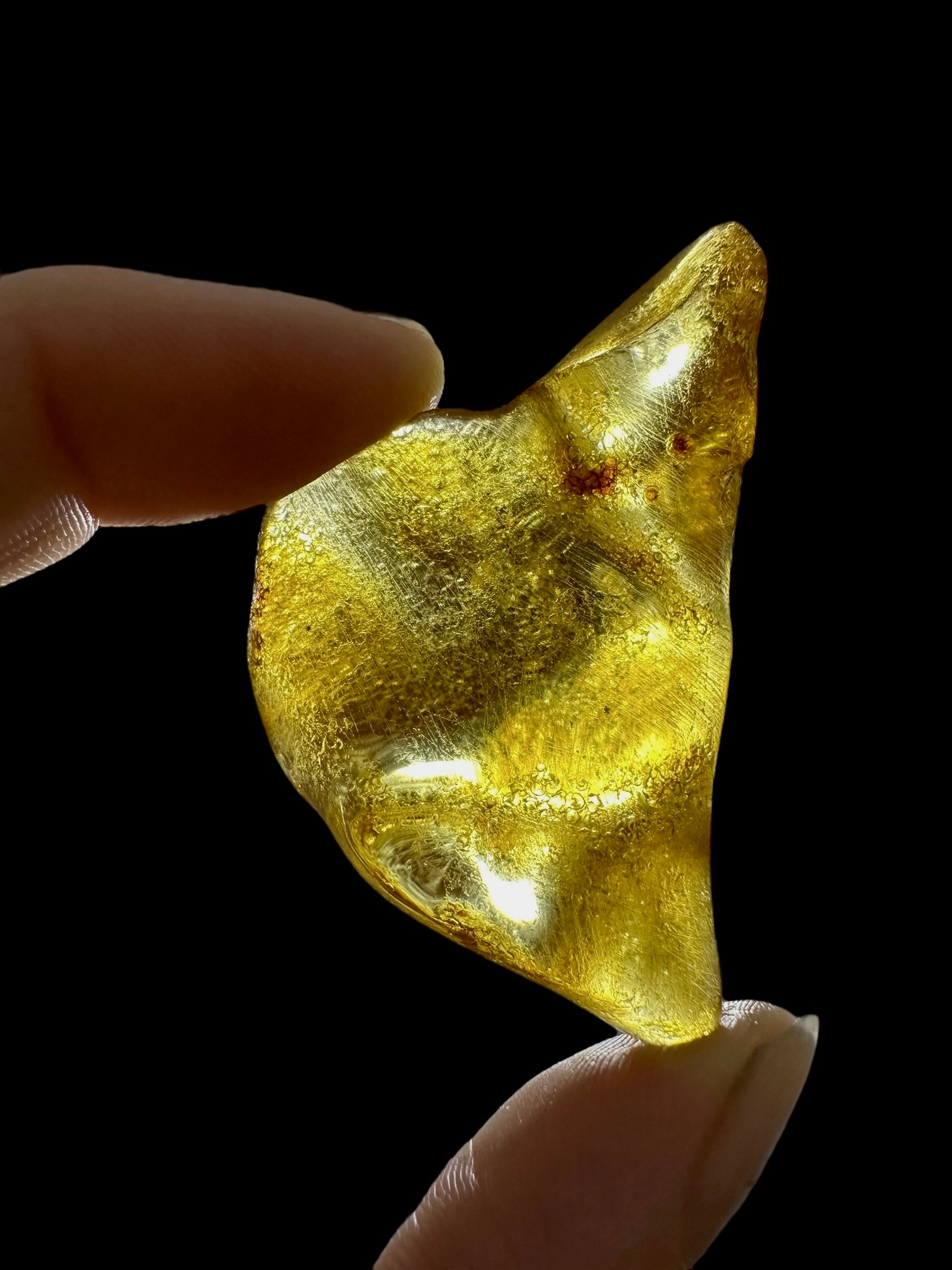 Young Amber (Copal) – Colombia - JN292