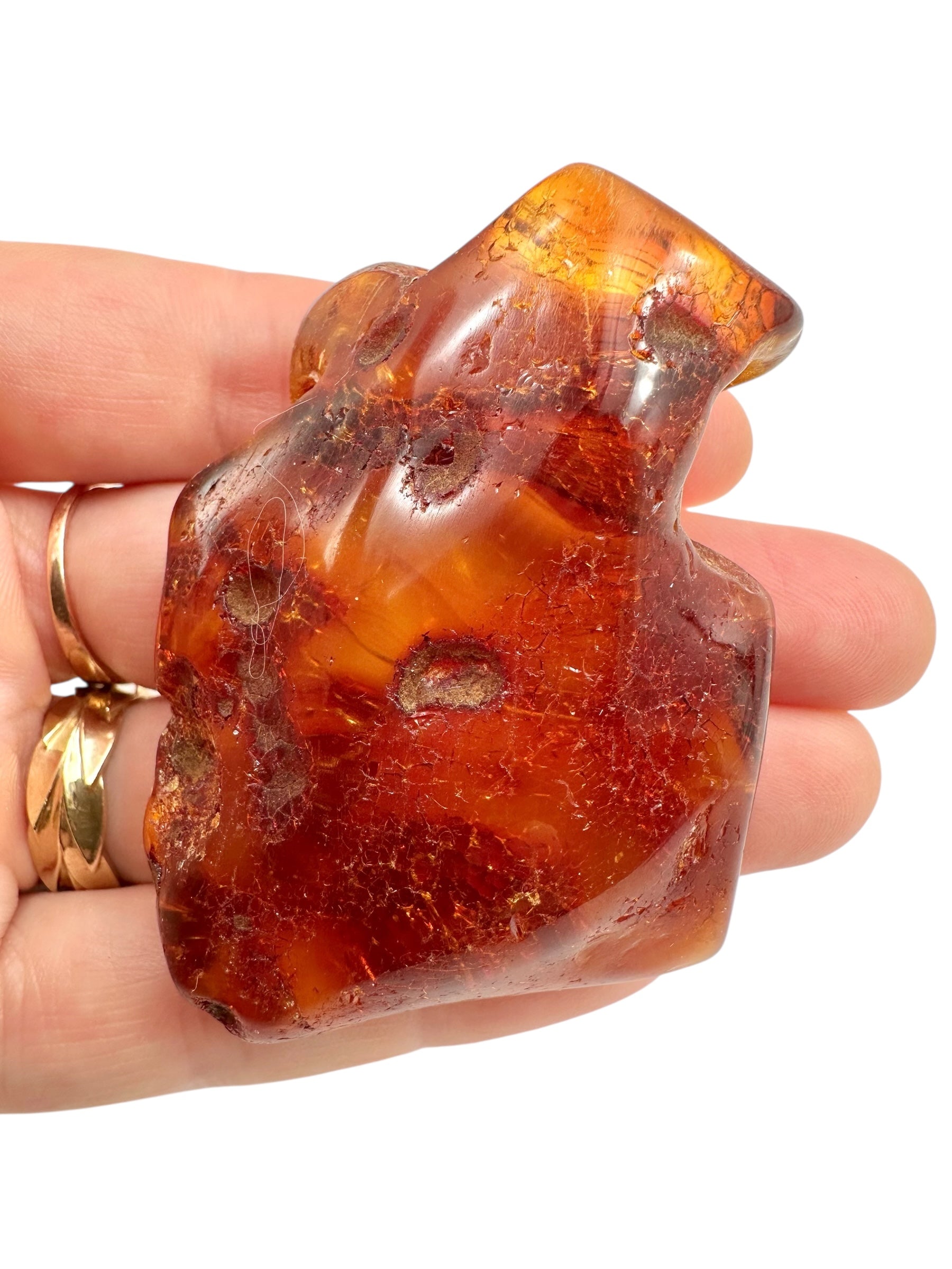 Young Amber (Copal) – Colombia - JN293