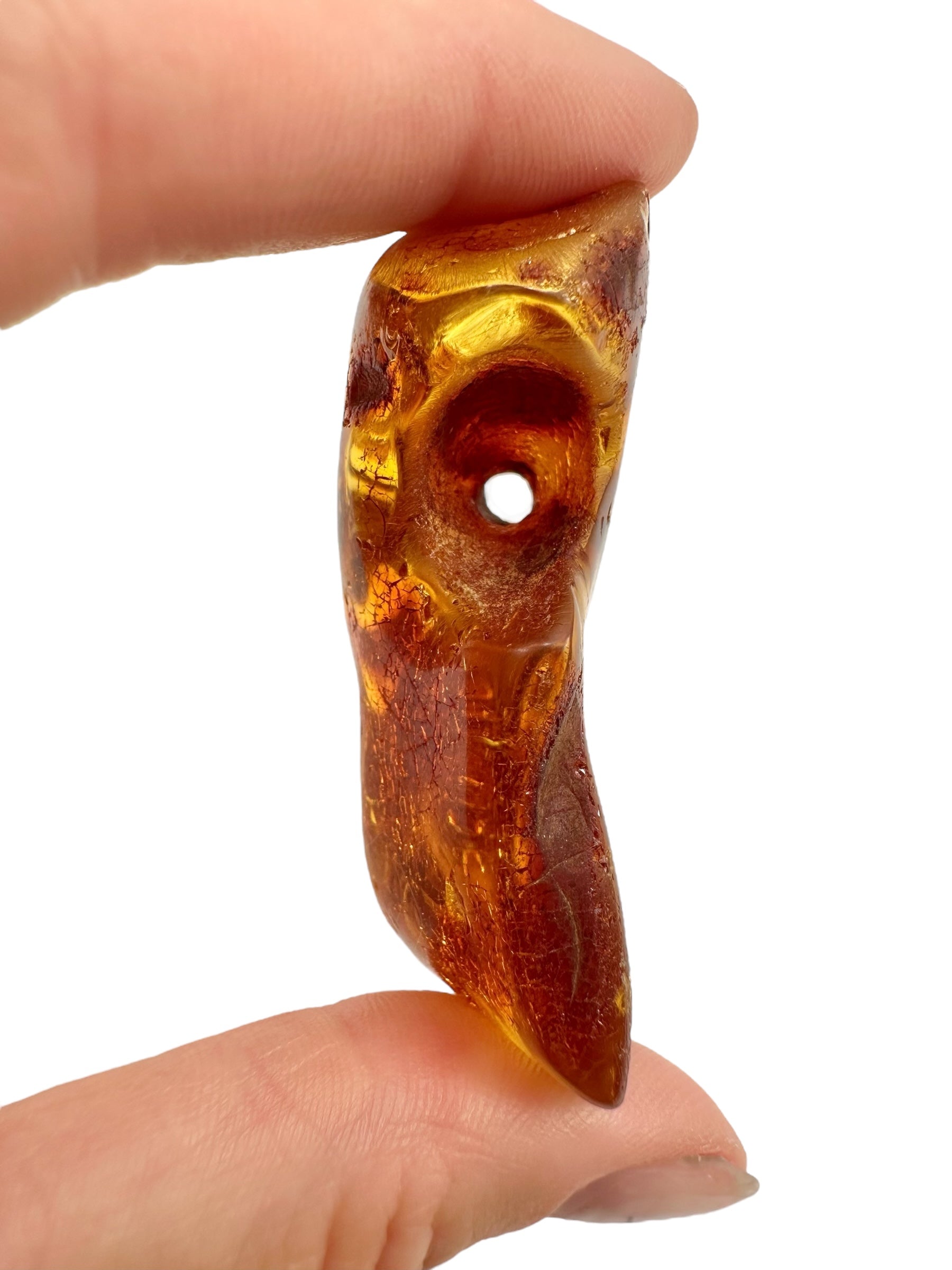 Young Amber (Copal) – Colombia - JN293