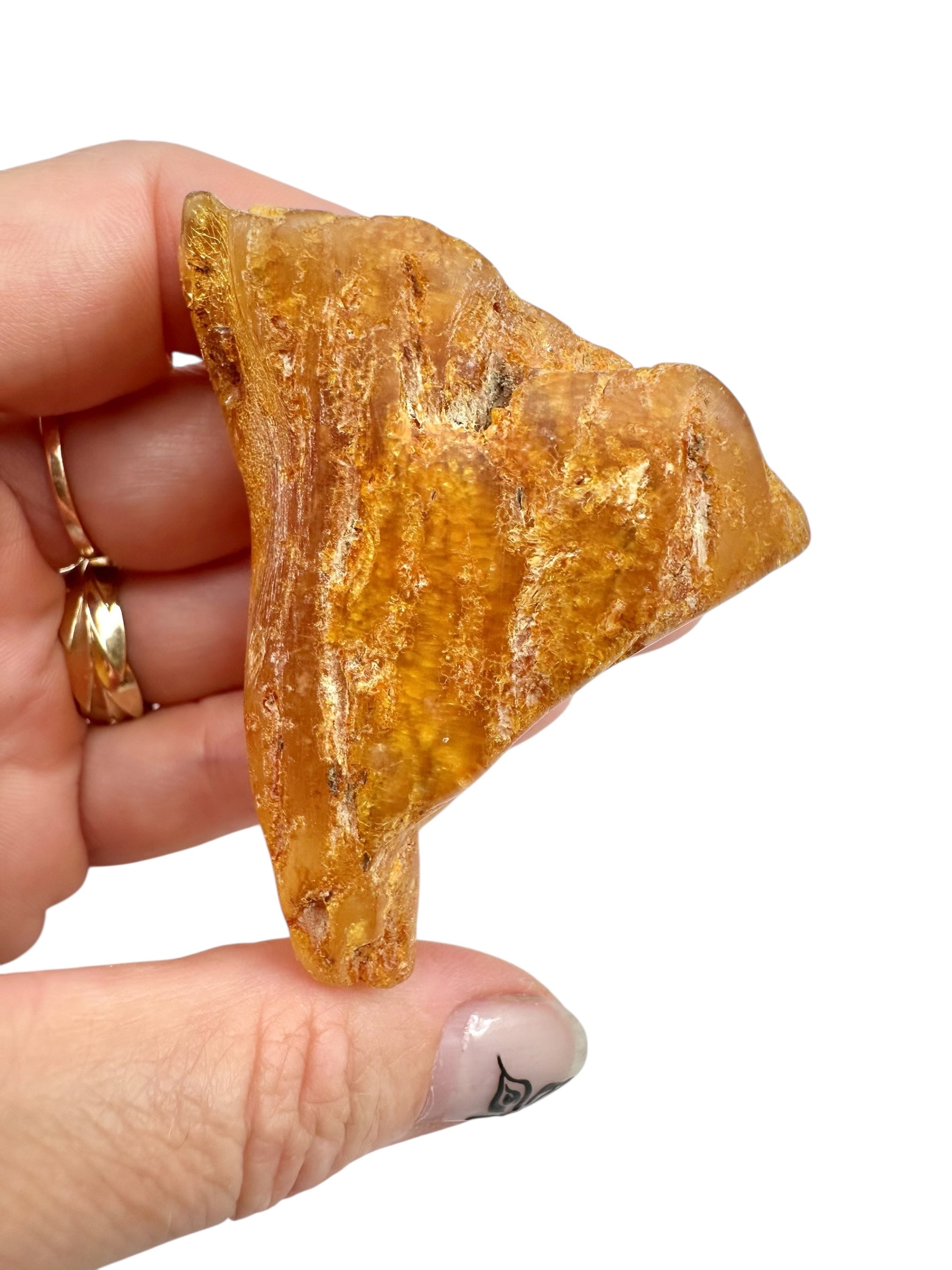Young Amber (Copal) – Colombia - JN294