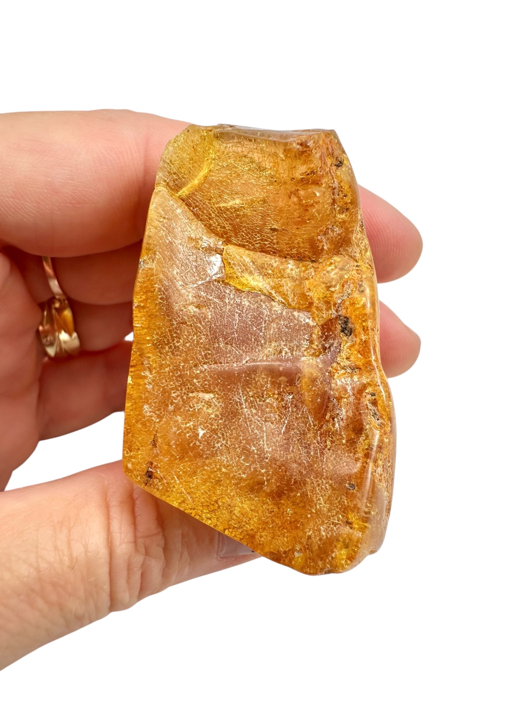 Young Amber (Copal) – Colombia - JN294