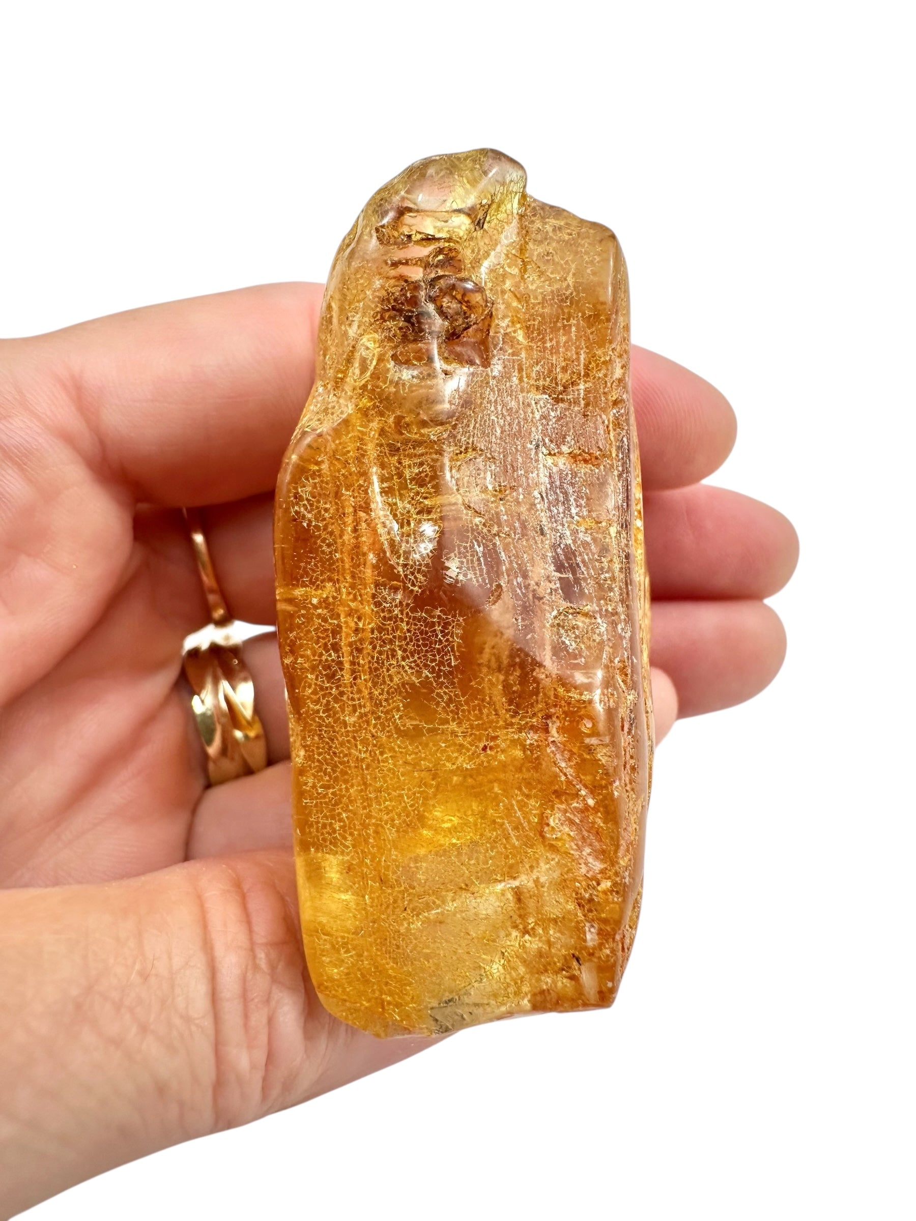 Young Amber (Copal) – Colombia - JN294