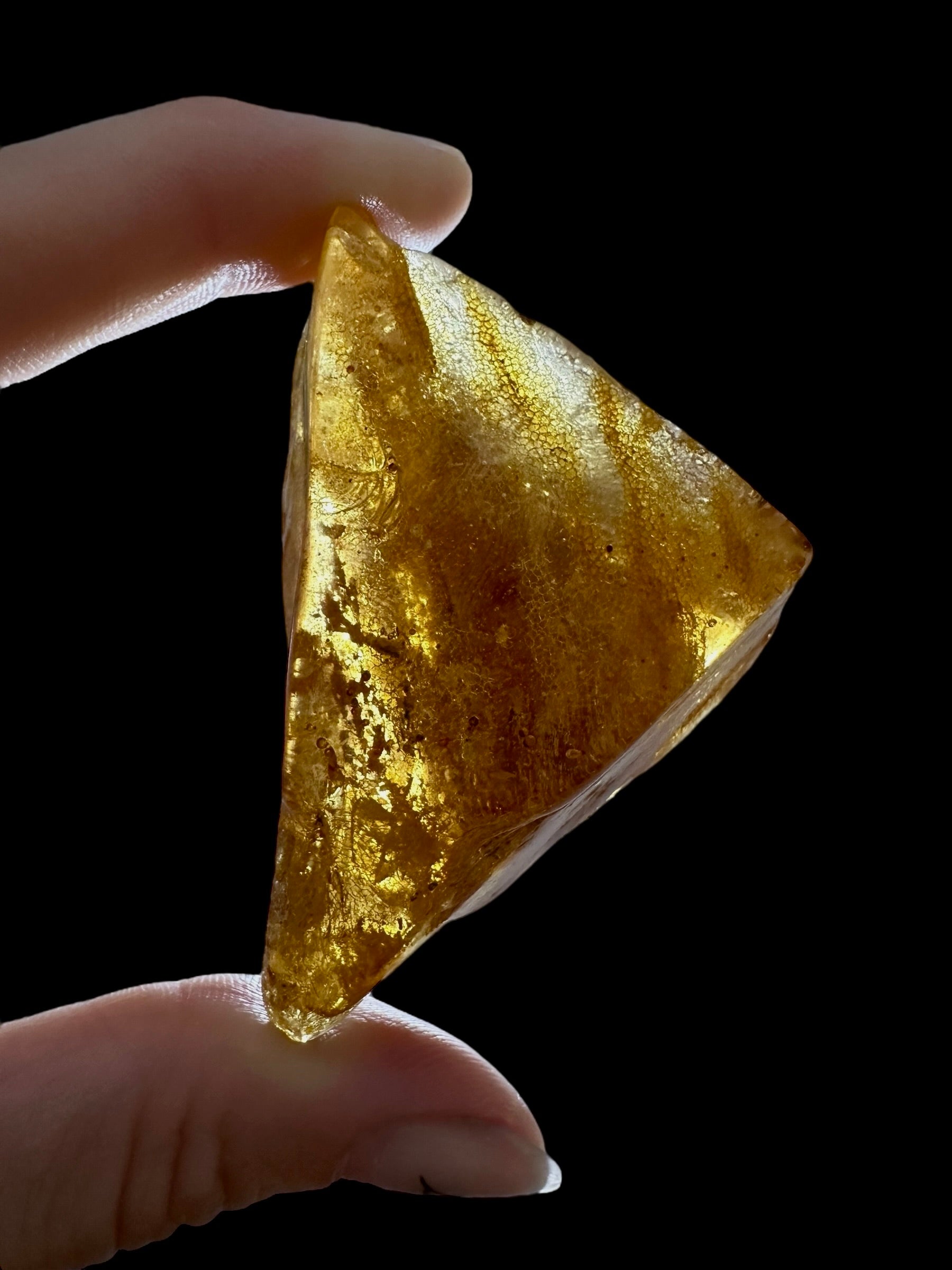 Young Amber (Copal) – Colombia - JN294
