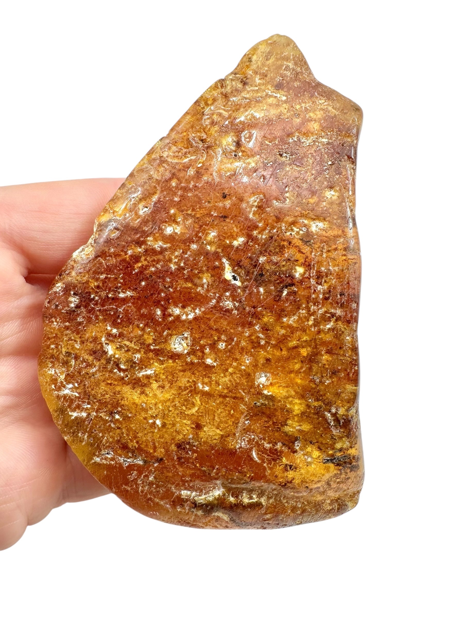 Young Amber (Copal) – Colombia - JN295