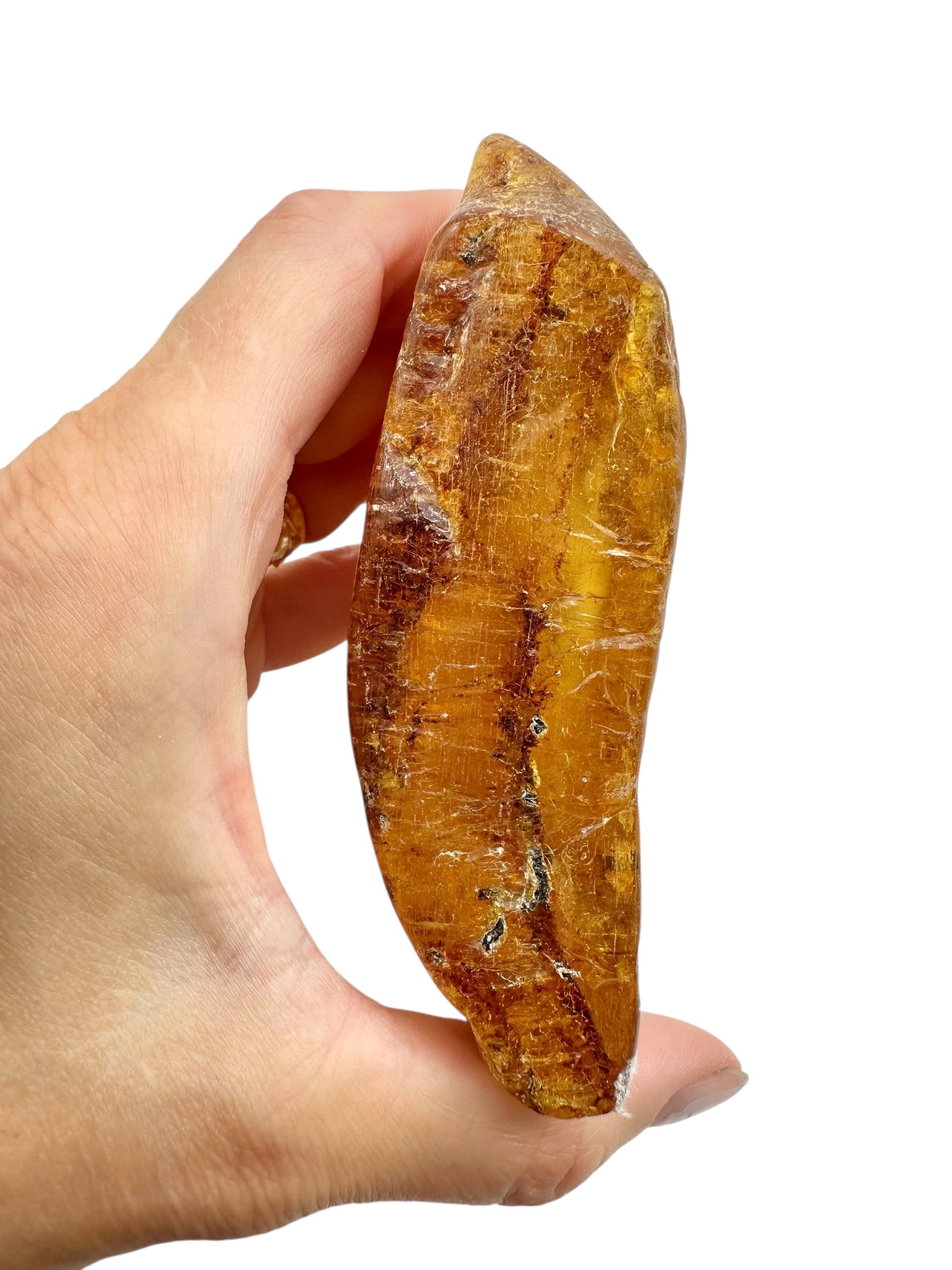 Young Amber (Copal) – Colombia - JN295