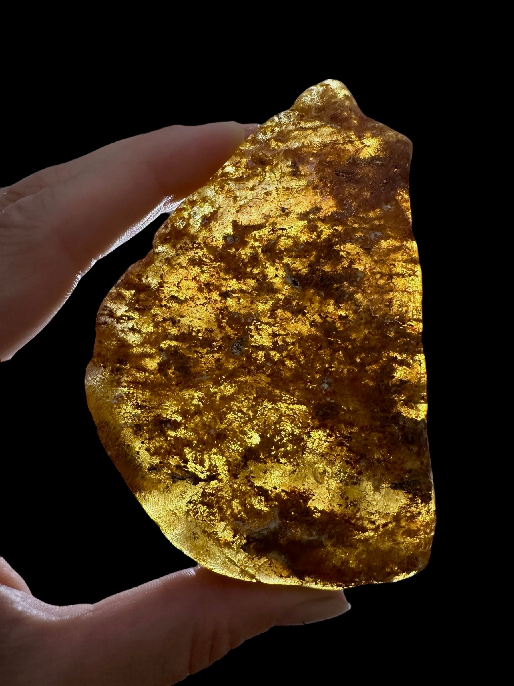 Young Amber (Copal) – Colombia - JN295
