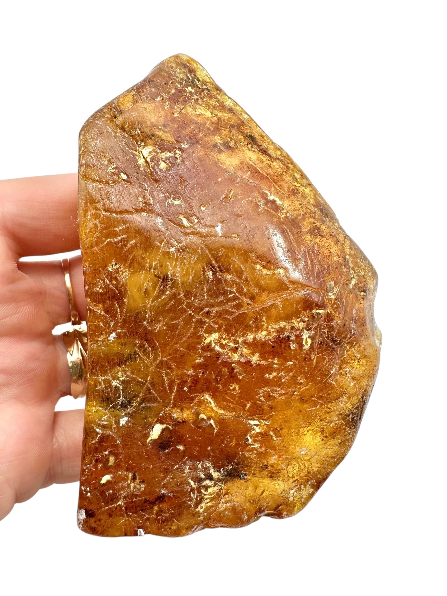 Young Amber (Copal) – Colombia