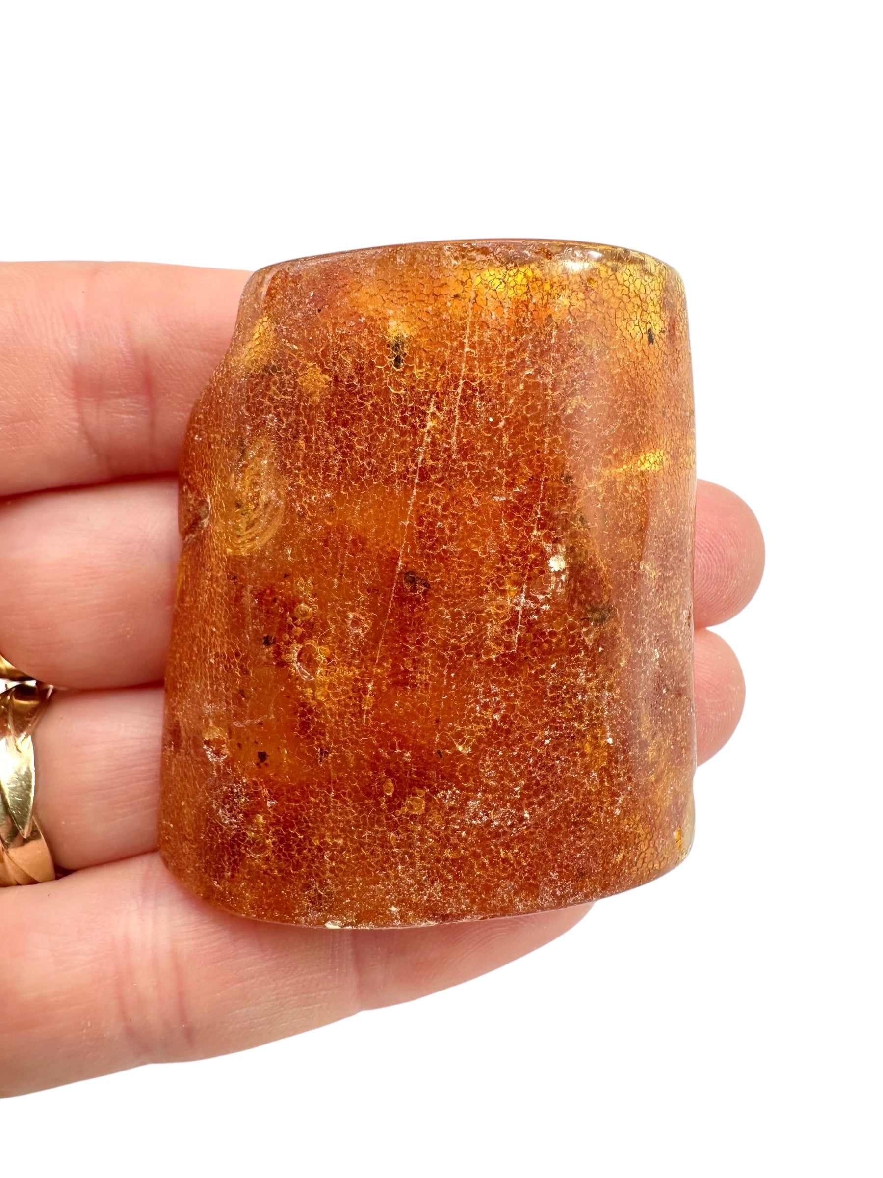 Young Amber (Copal) – Colombia - JN296