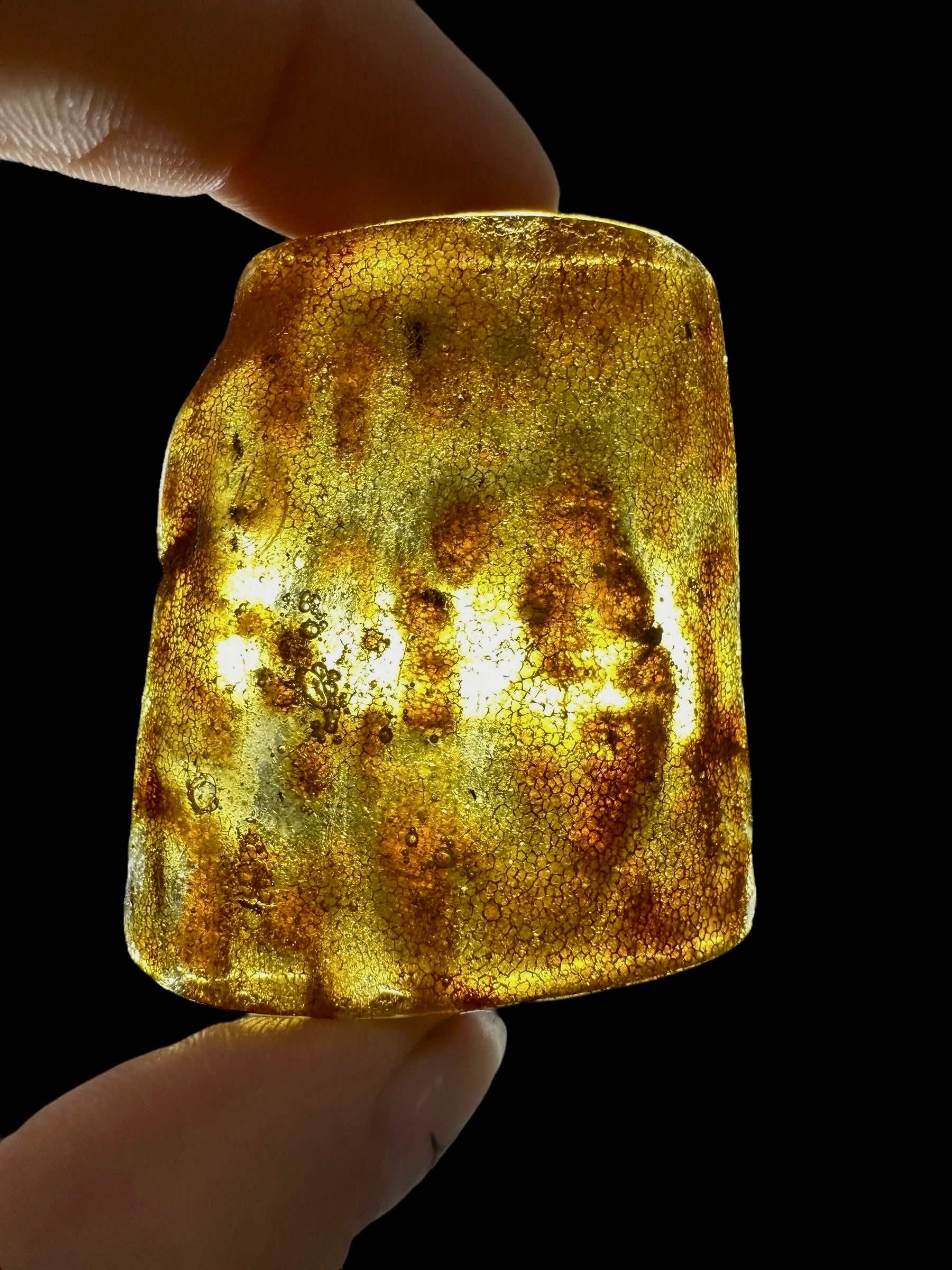 Young Amber (Copal) – Colombia - JN296