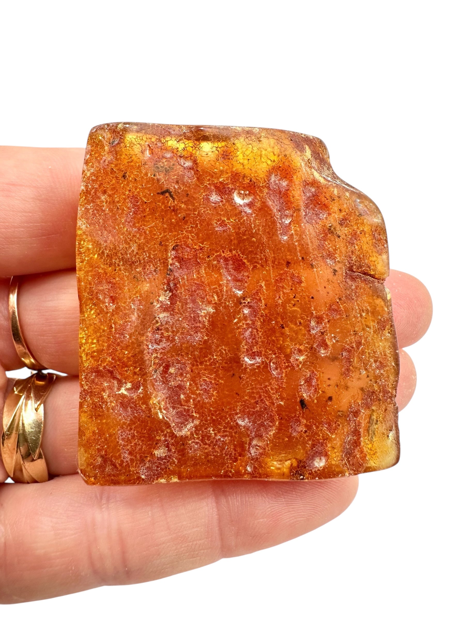 Young Amber (Copal) – Colombia
