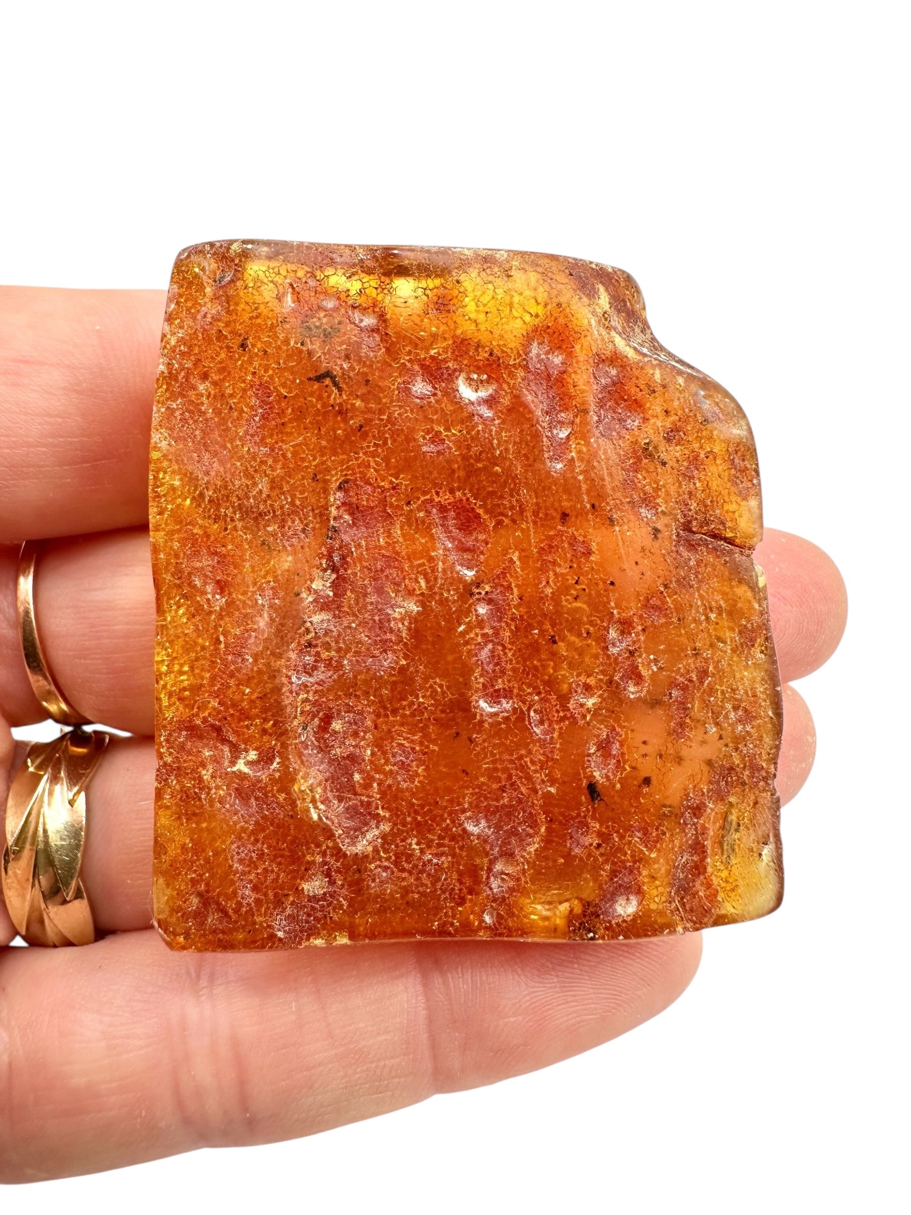 Young Amber (Copal) – Colombia