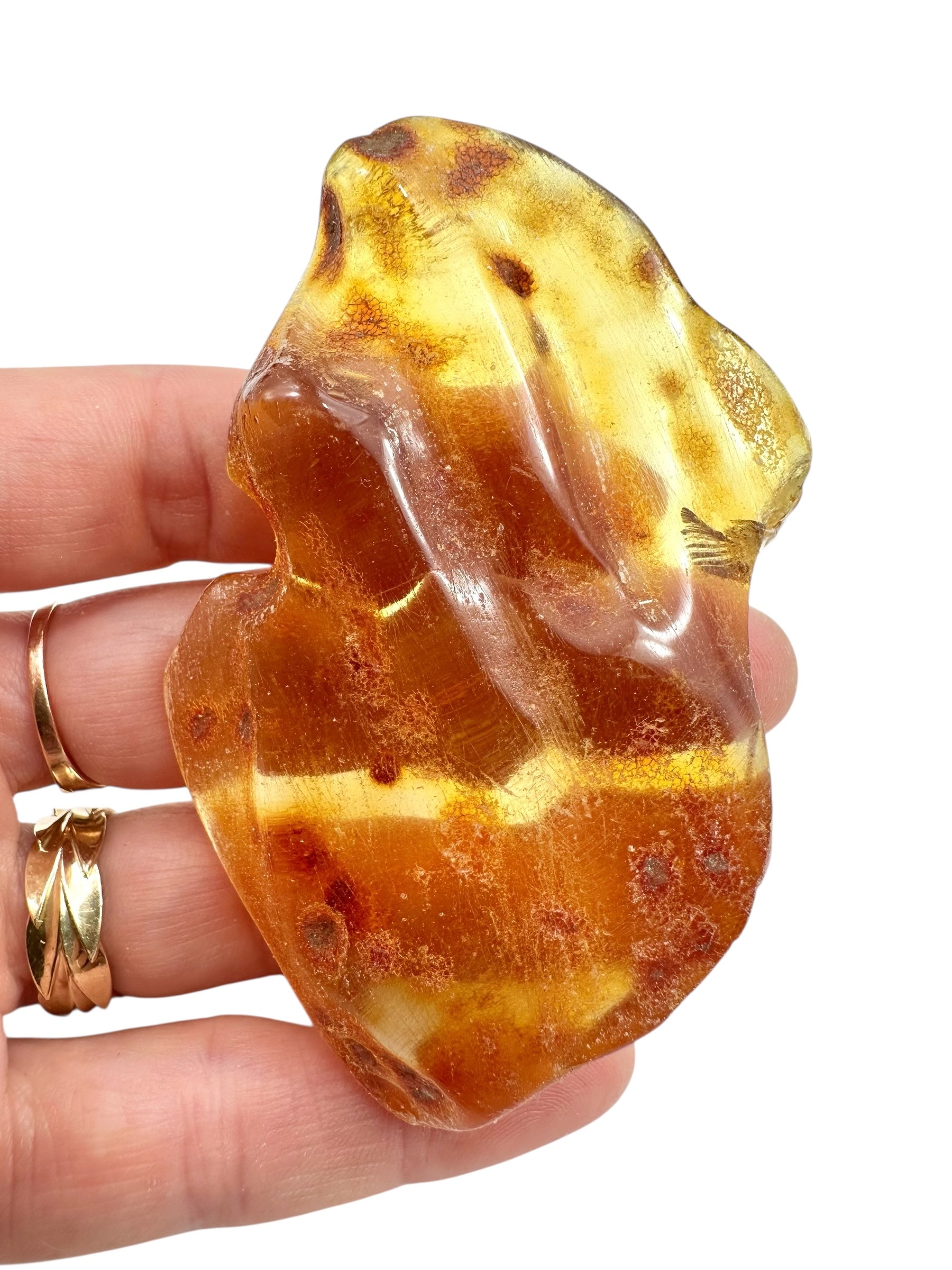 Young Amber (Copal) – Colombia - JN297
