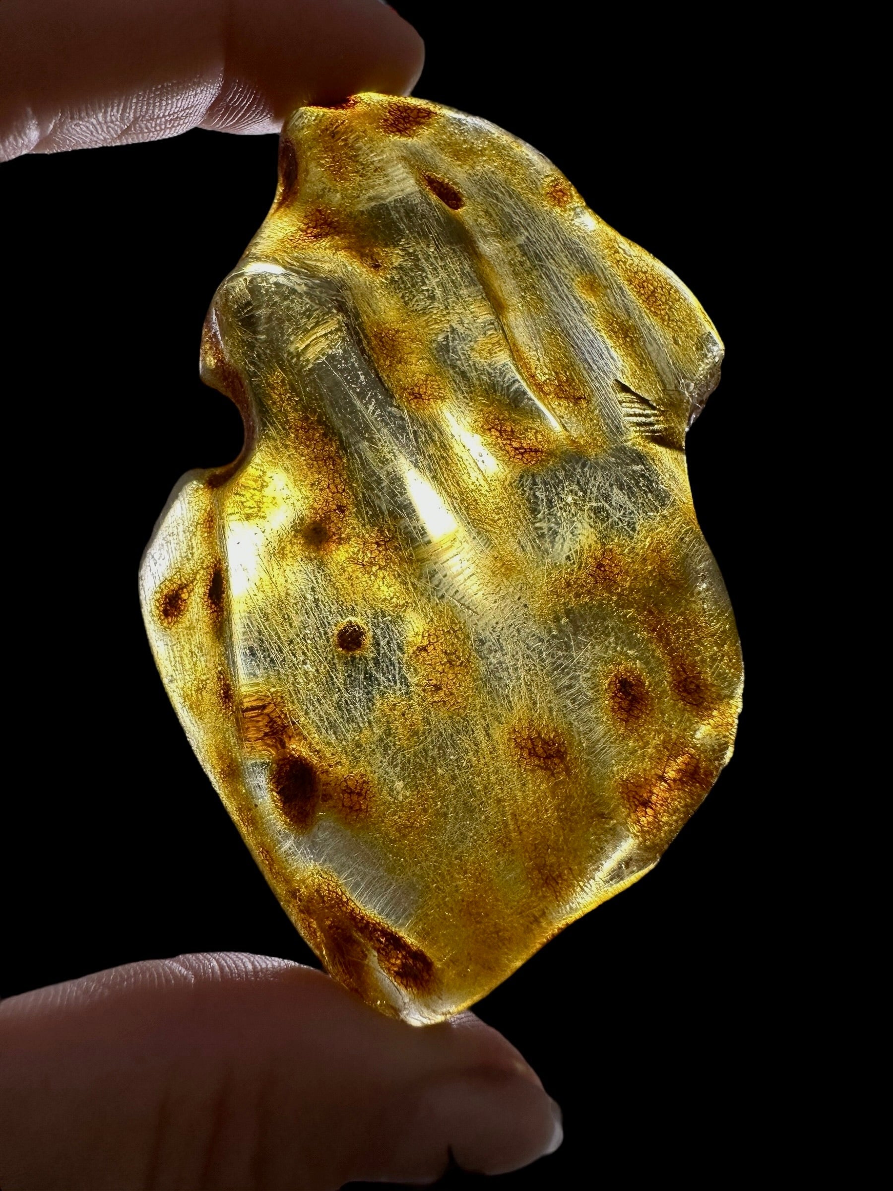 Young Amber (Copal) – Colombia - JN297