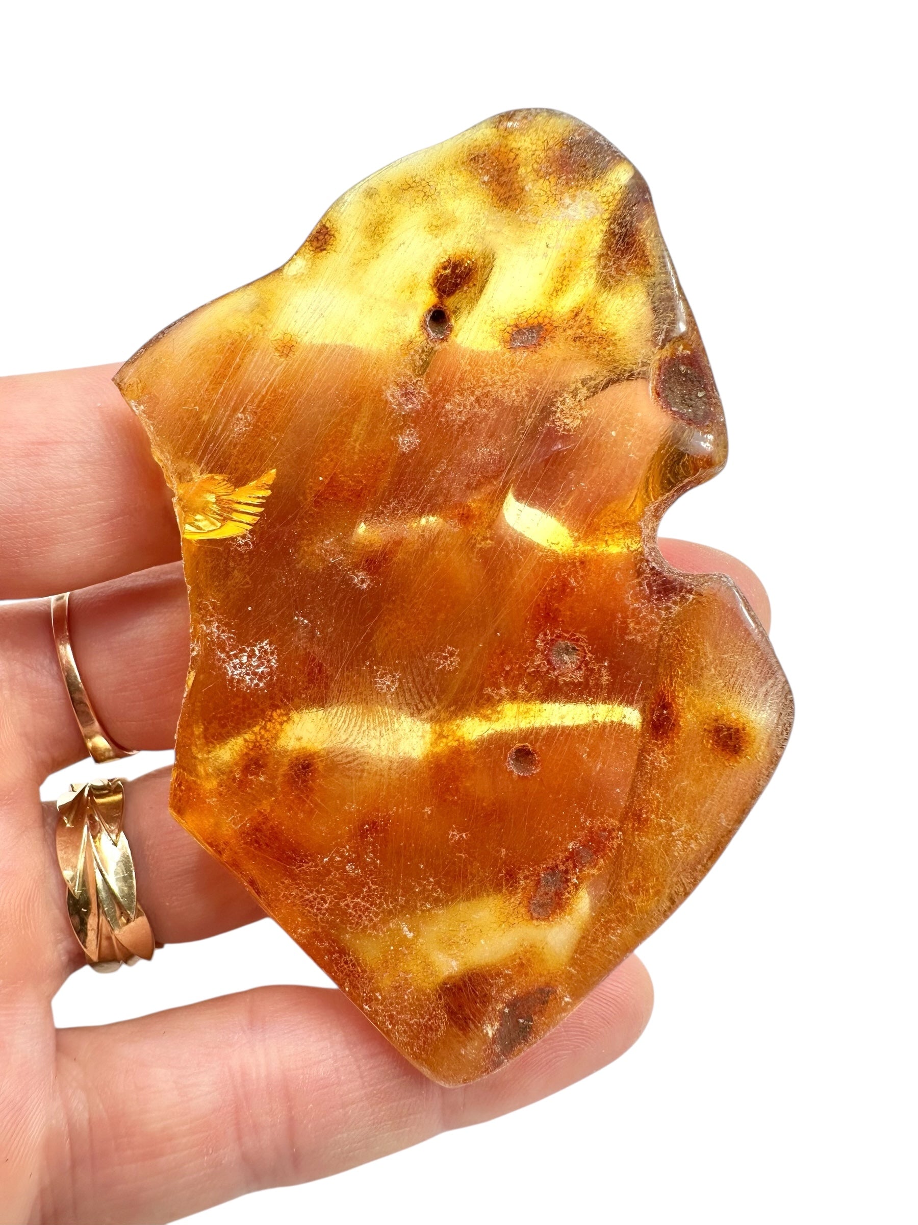 Young Amber (Copal) – Colombia