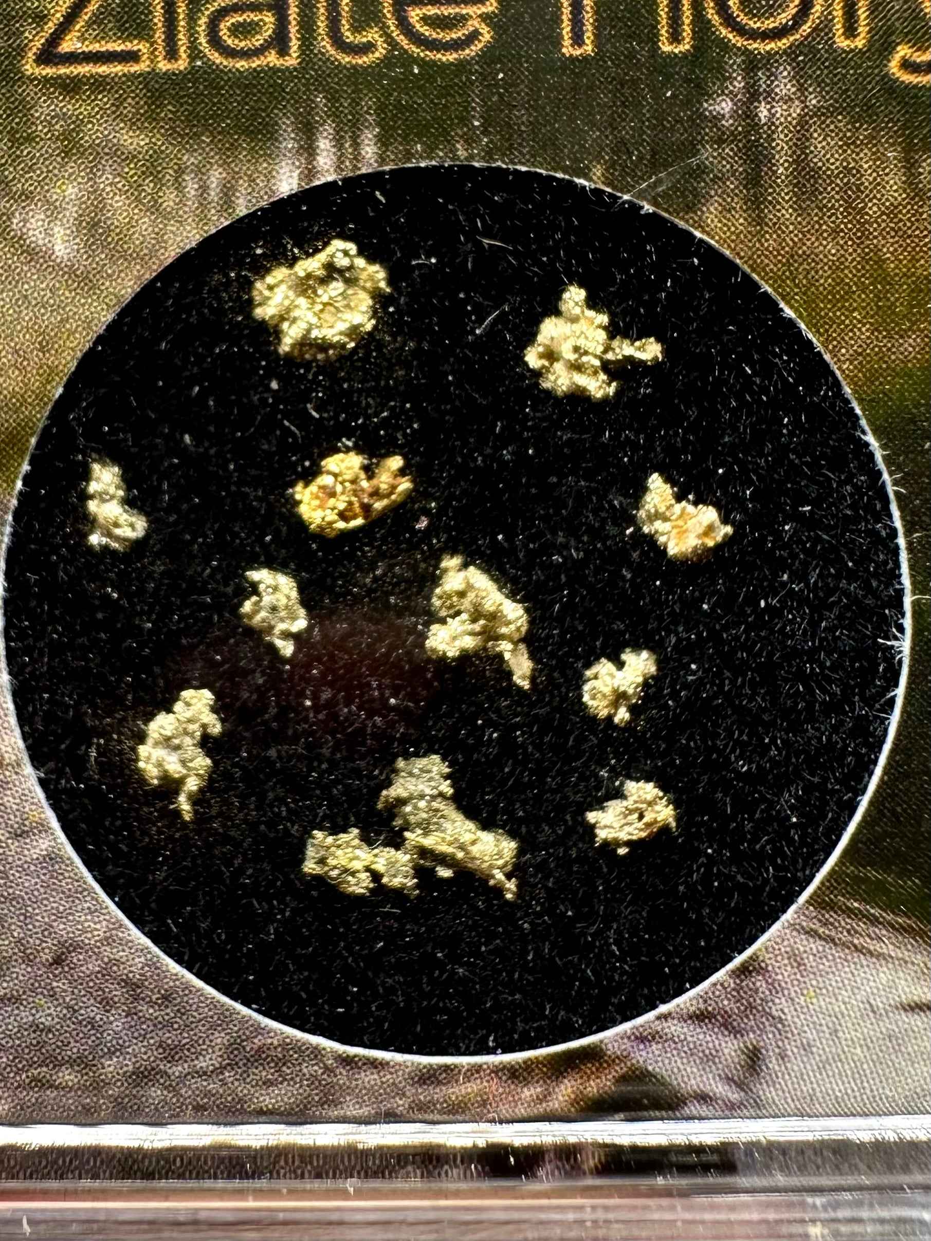 Gold on quarz in box – Zlate Hory, CZ