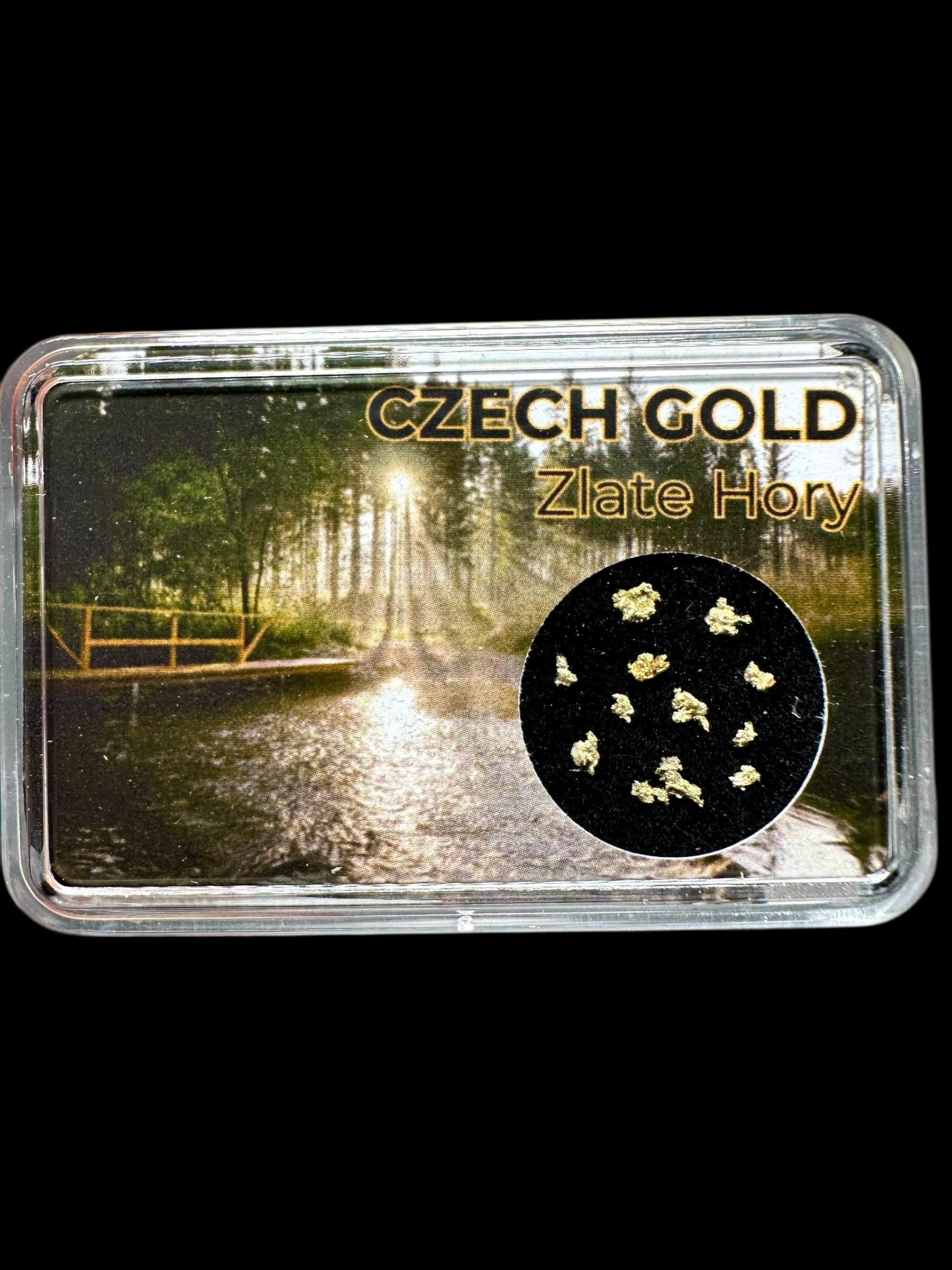 Gold on quarz in box – Zlate Hory, CZ