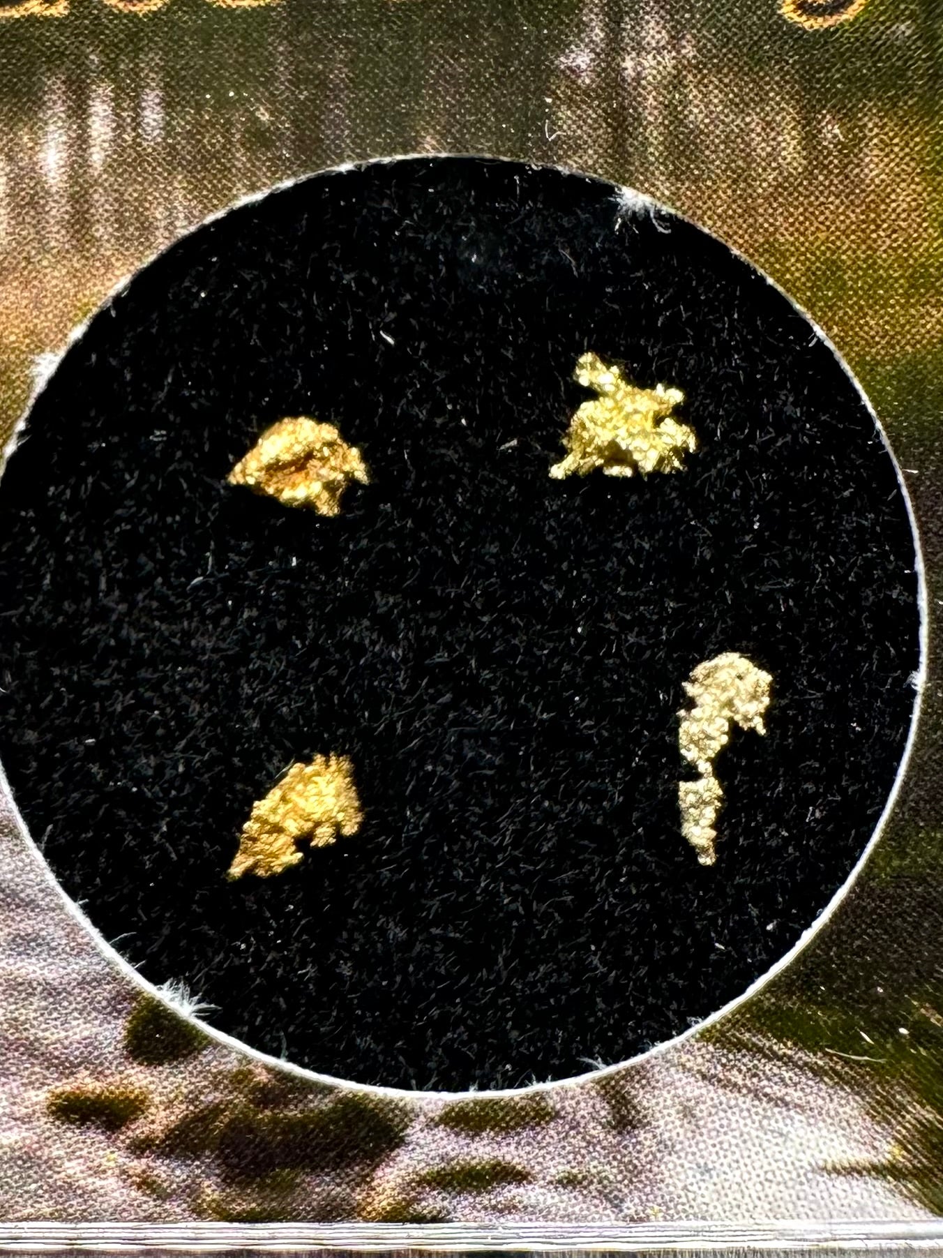 Gold on quarz in box – Zlate Hory, CZ - ZL134