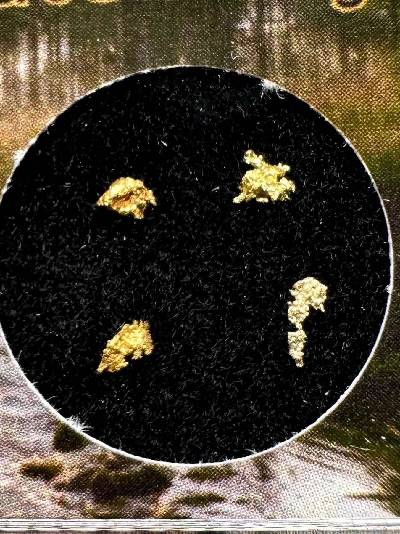 Gold on quarz in box – Zlate Hory, CZ - ZL134