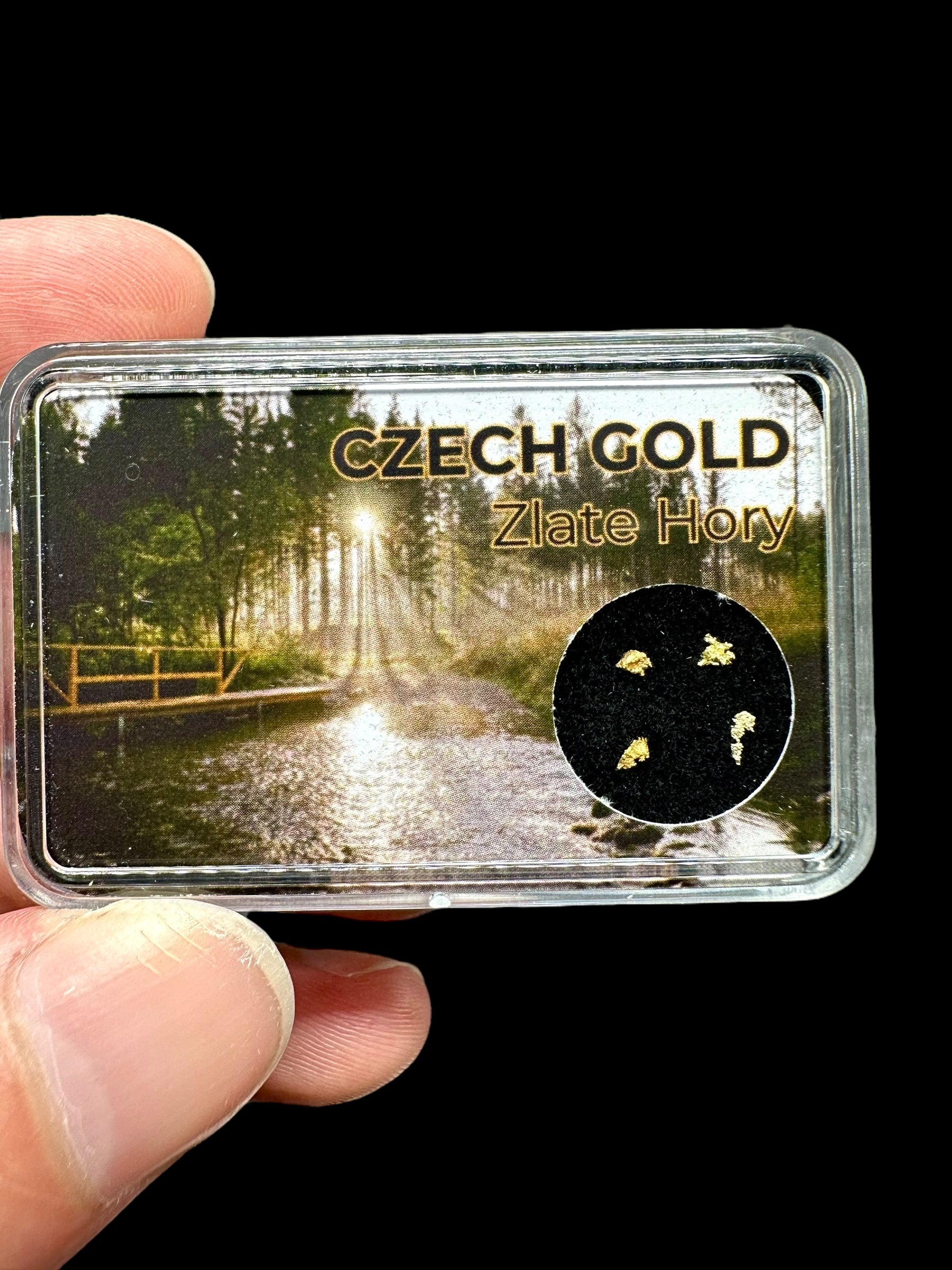 Gold on quarz in box – Zlate Hory, CZ