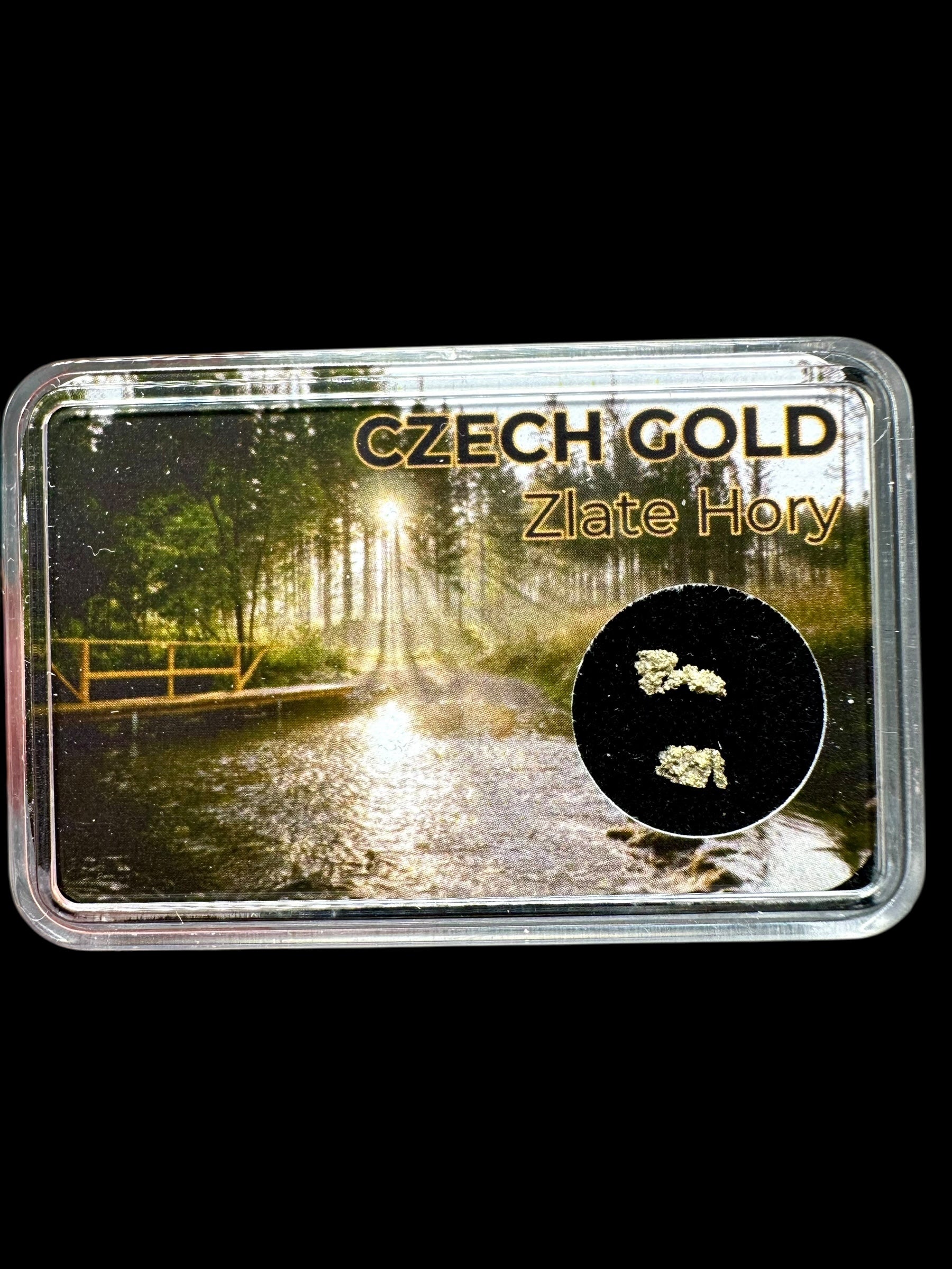 Gold on quarz in box – Zlate Hory, CZ