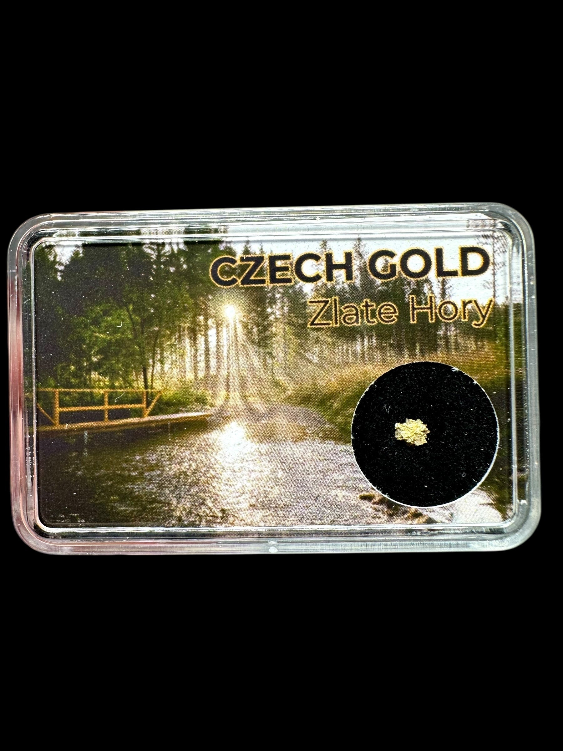 Gold on quarz in box – Zlate Hory, CZ