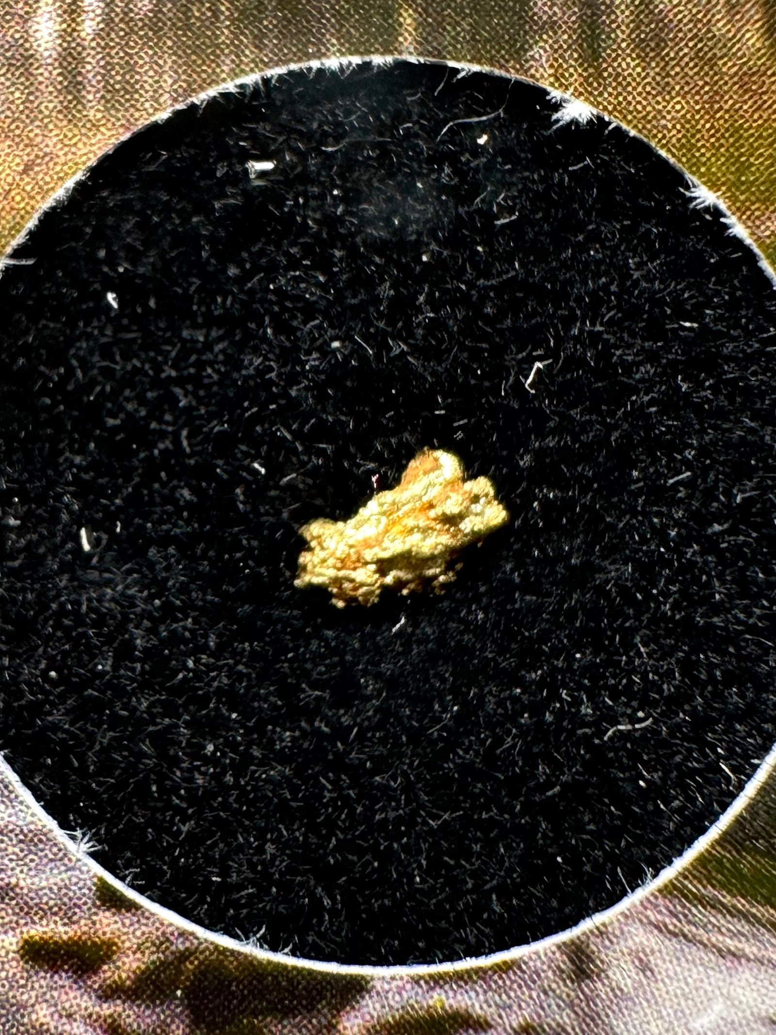 Gold on quarz in box – Zlate Hory, CZ - ZL137