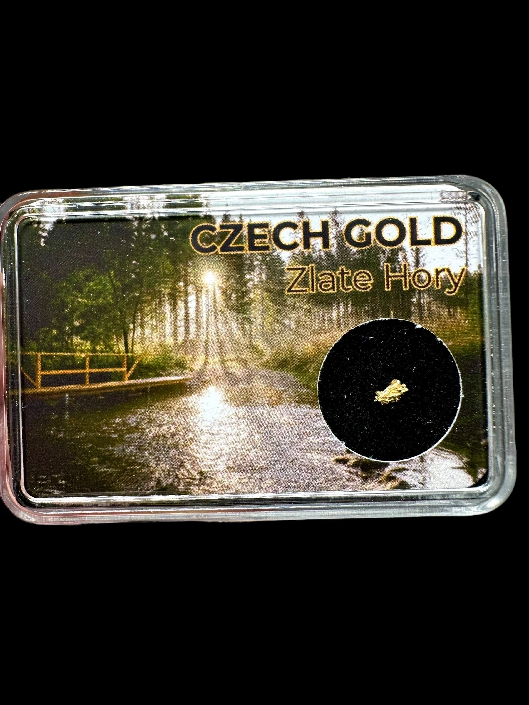Gold on quarz in box – Zlate Hory, CZ