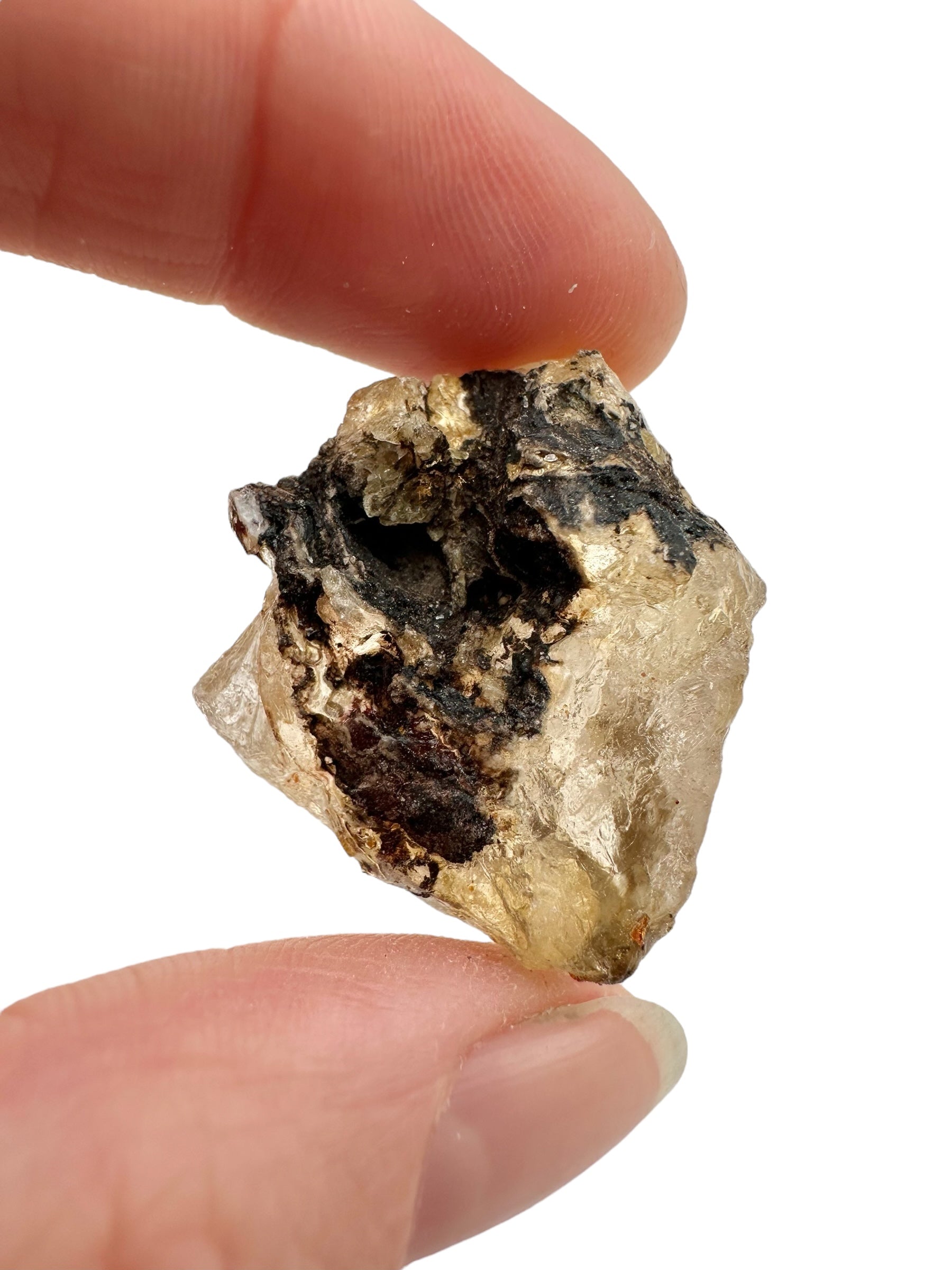 Raw Young Amber (Copal) – Colombia - JN298