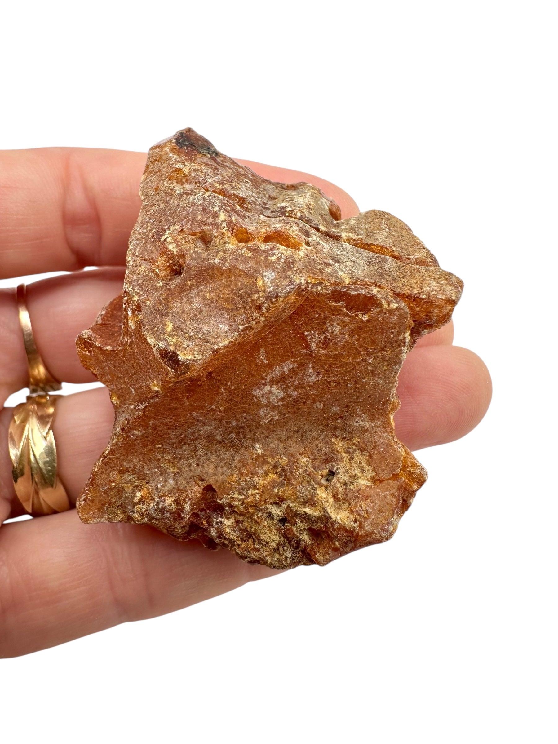 Raw Young Amber (Copal) – Colombia - JN299