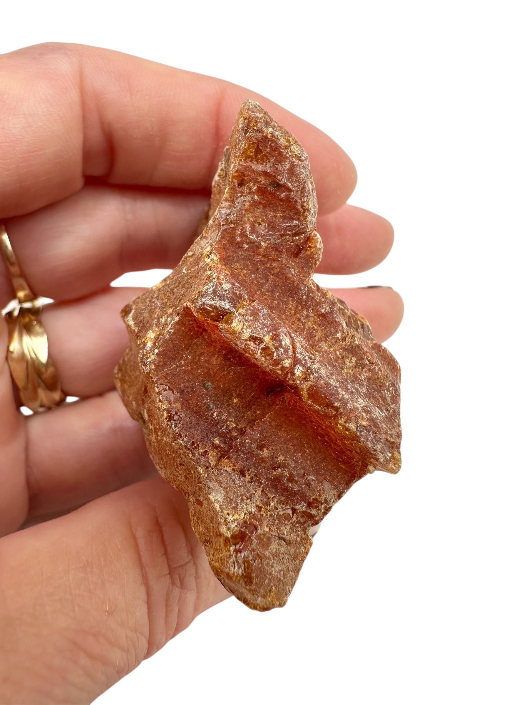 Raw Young Amber (Copal) – Colombia - JN299