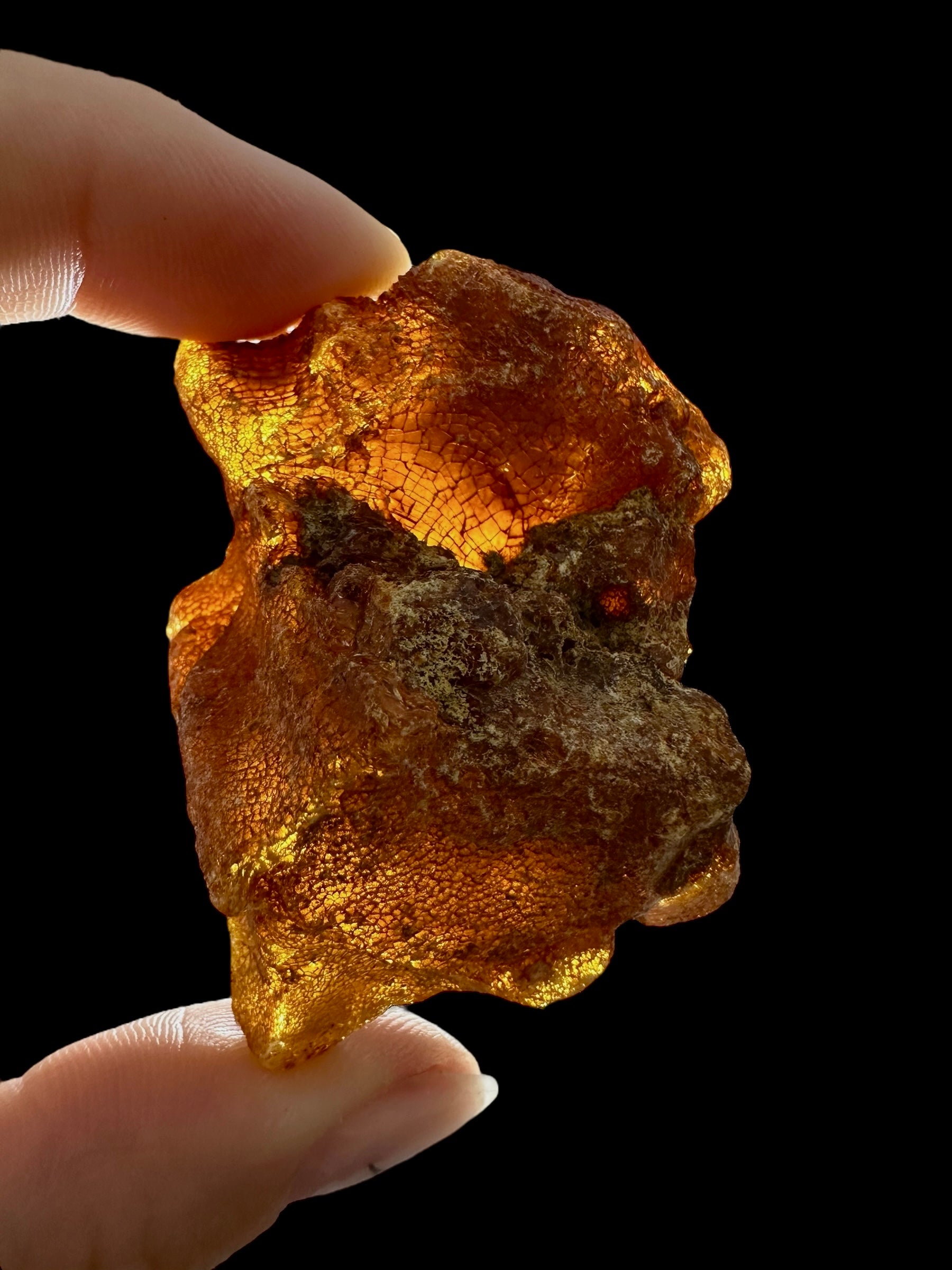 Raw Young Amber (Copal) – Colombia - JN299