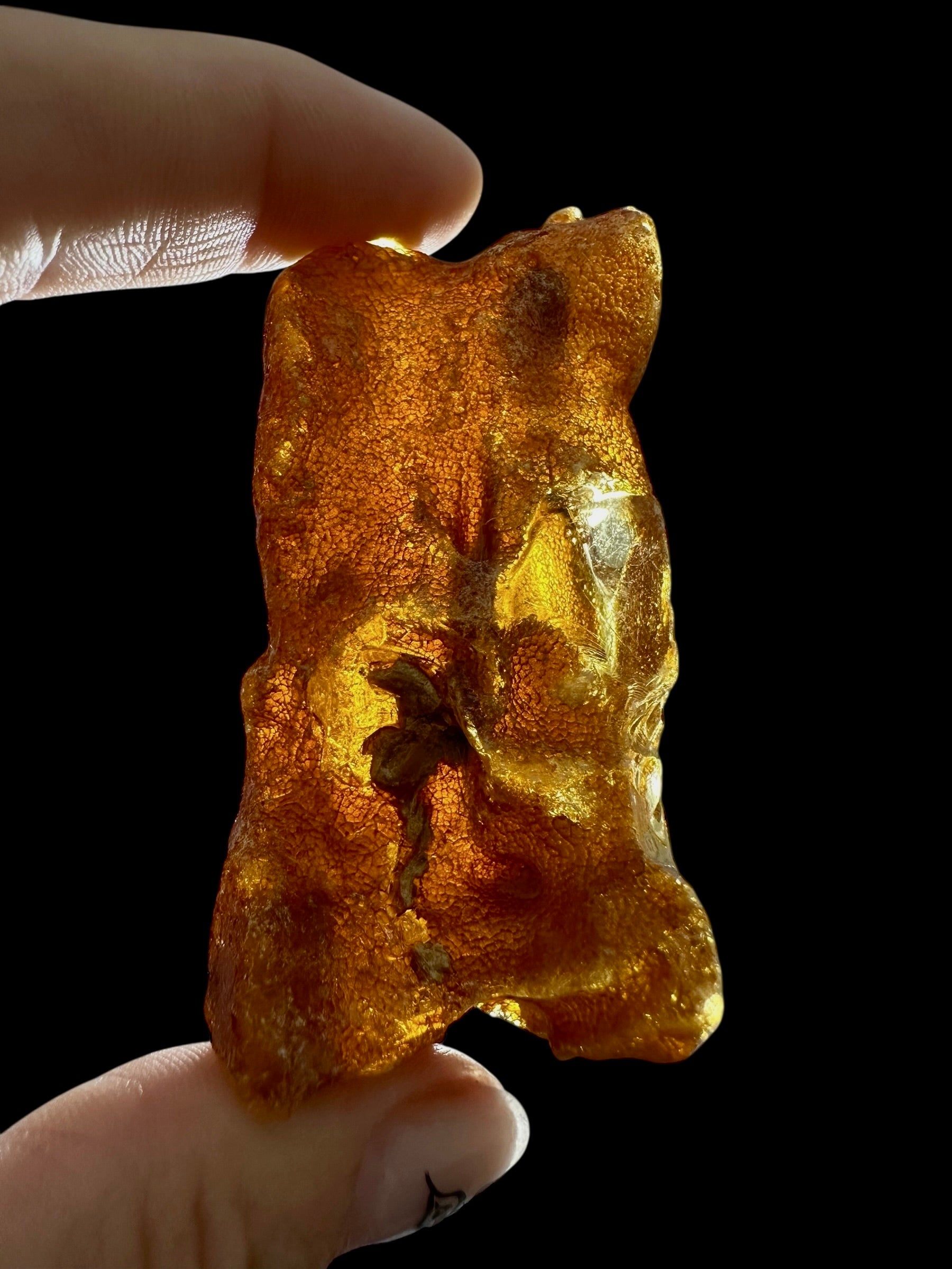 Raw Young Amber (Copal) – Colombia - JN300