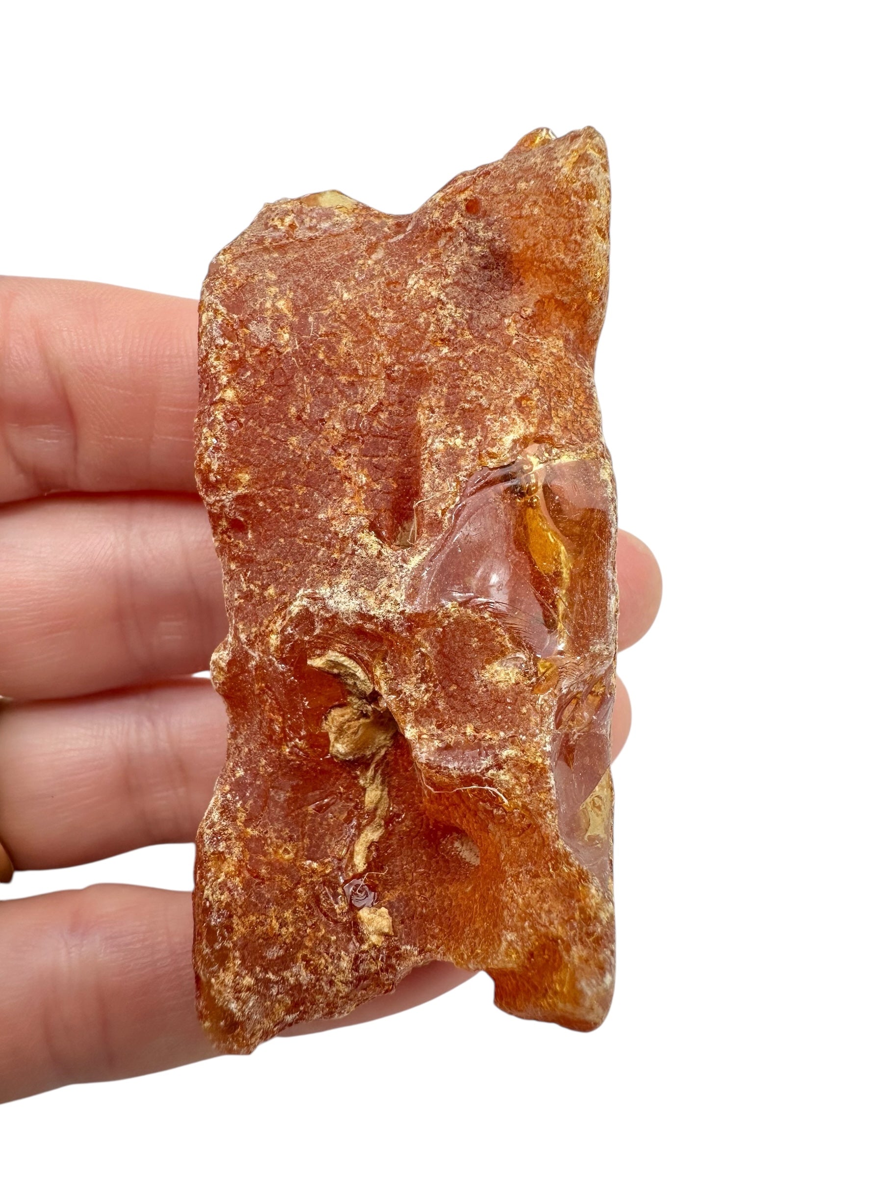 Raw Young Amber (Copal) – Colombia