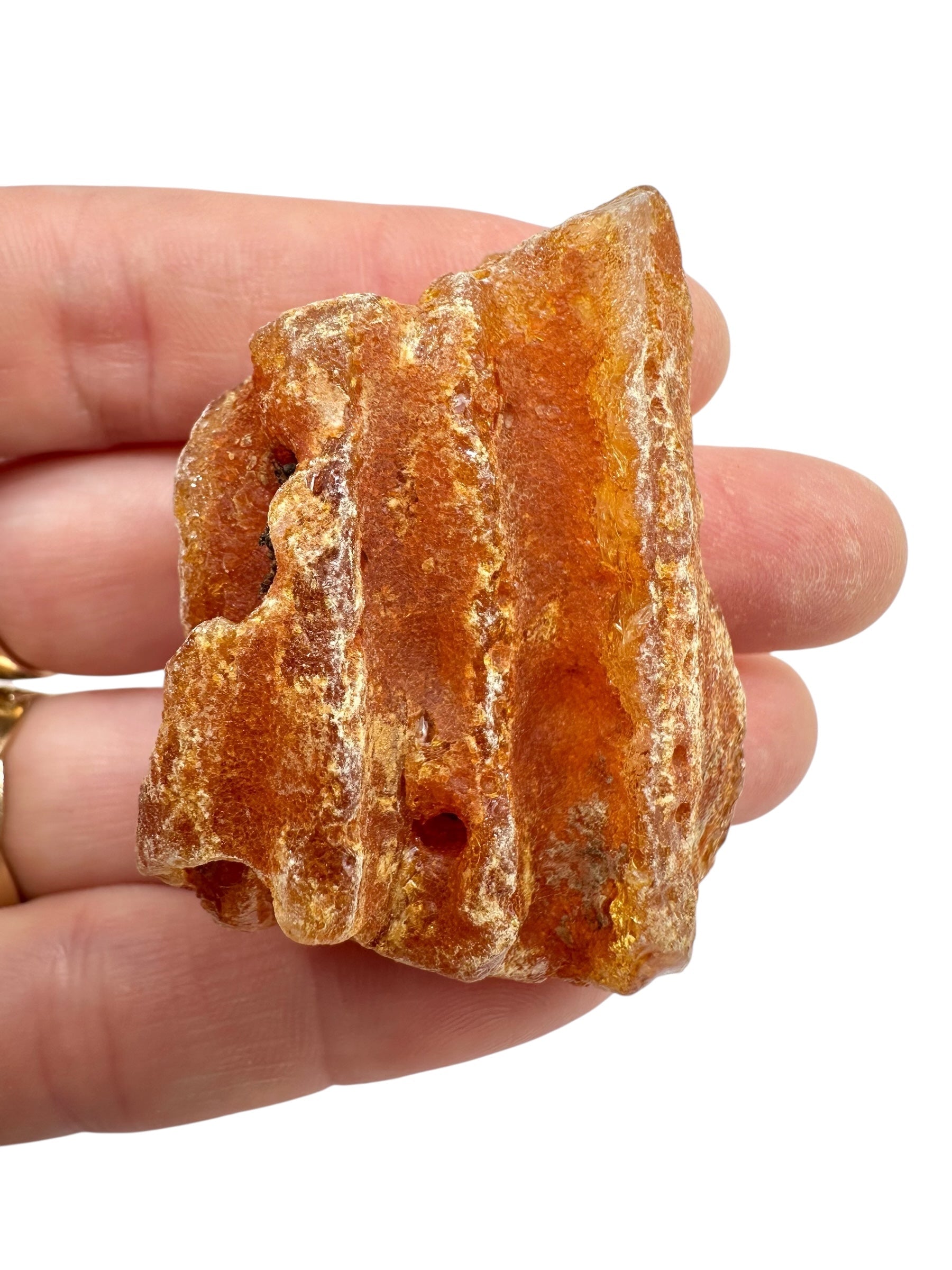 Raw Young Amber (Copal) – Colombia - JN301